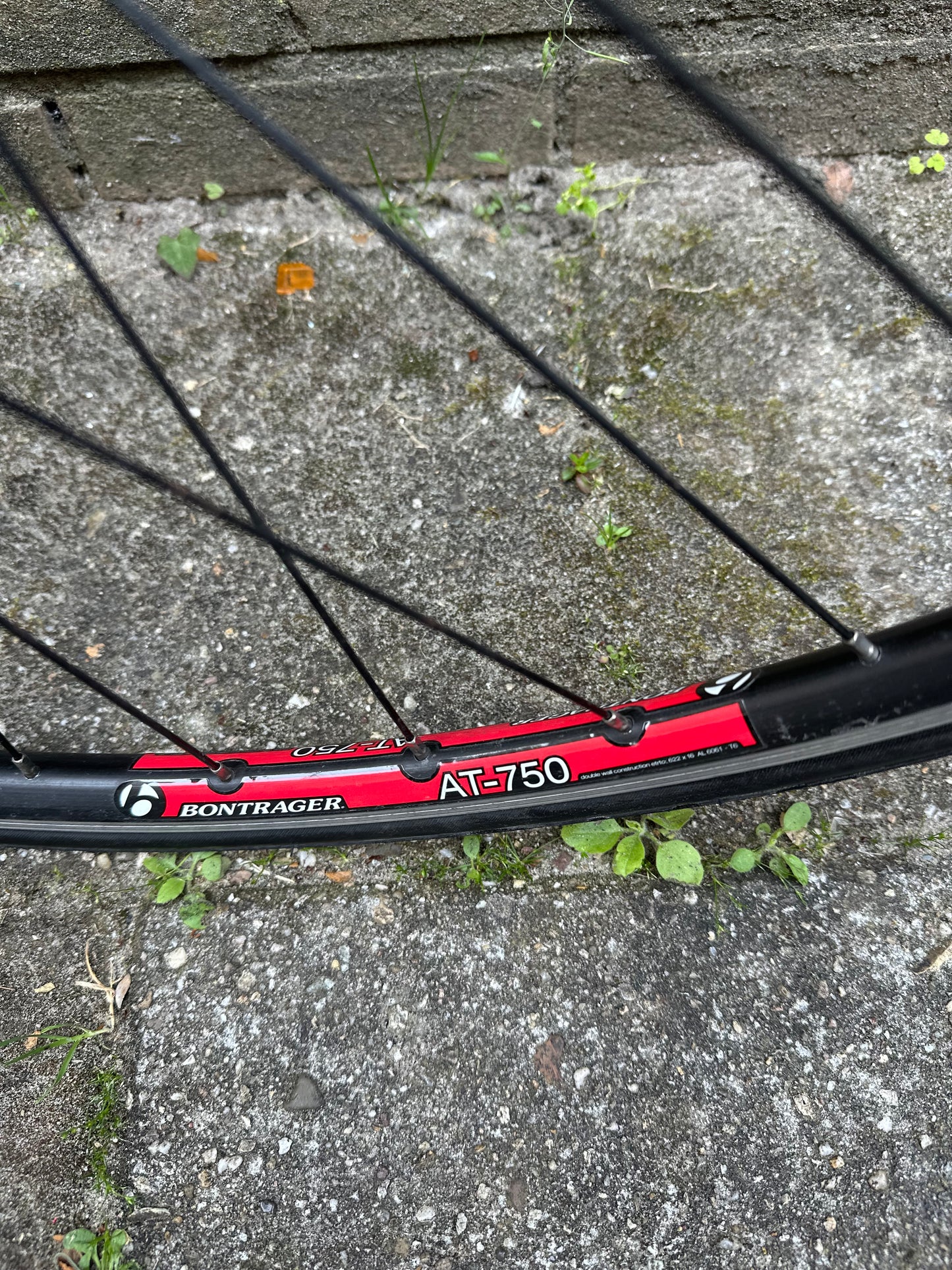 2015 Trek Alpha 1.2 560m Claris 8s