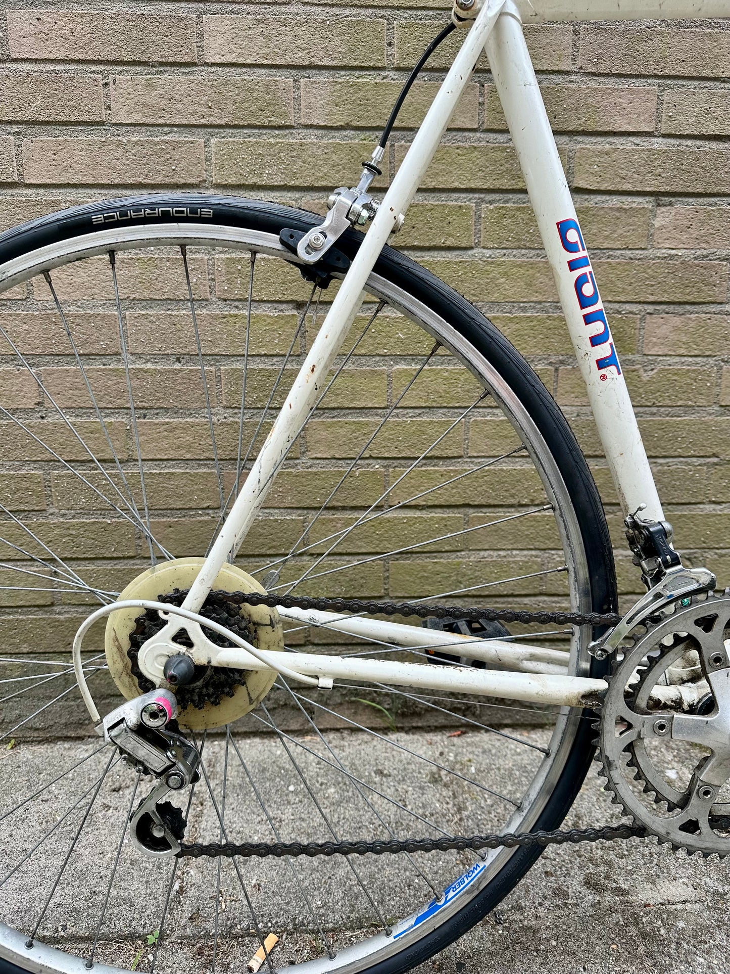 Giant Speeder 58cm