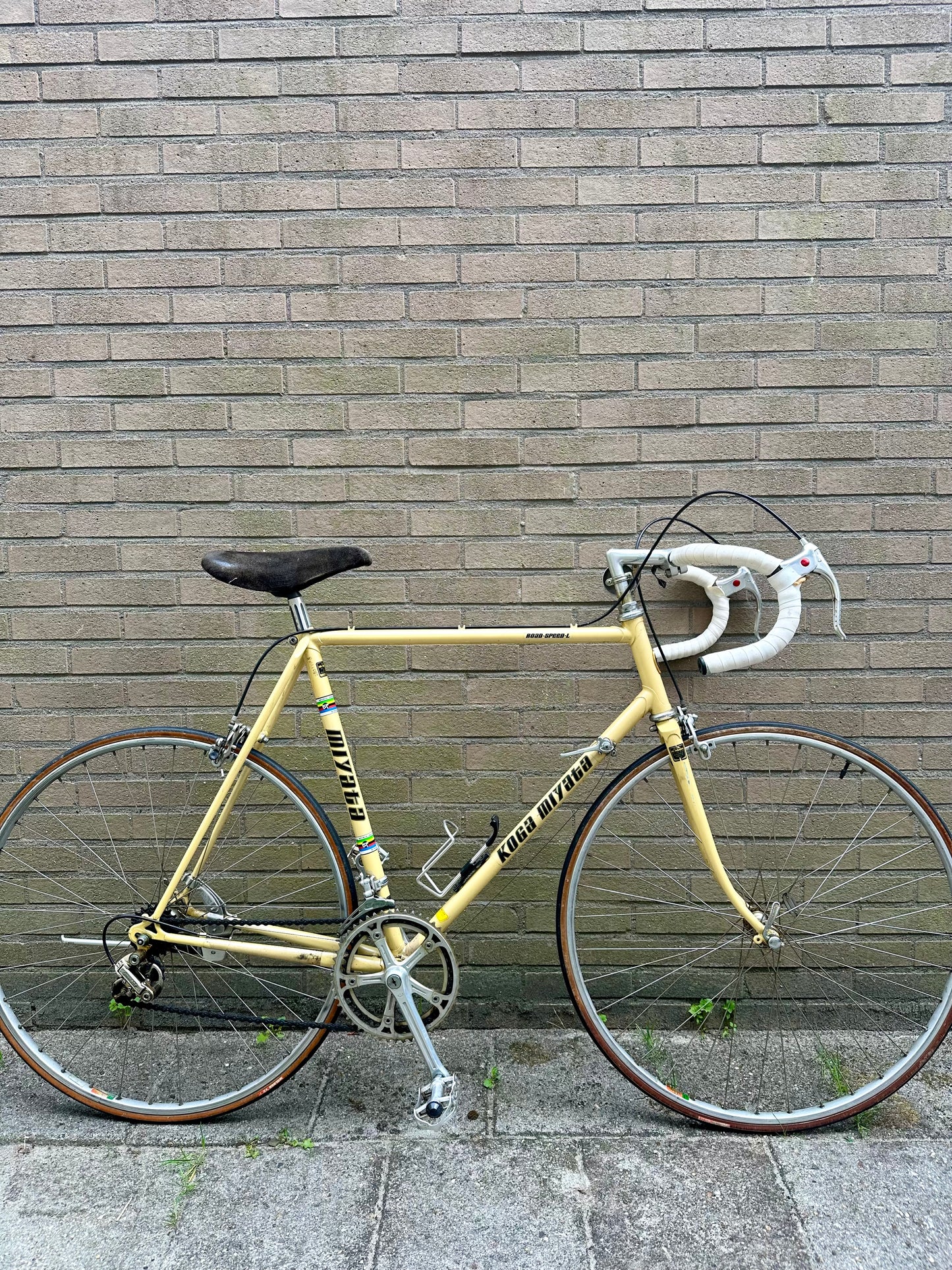1979 Koga Miyata Road Speed L