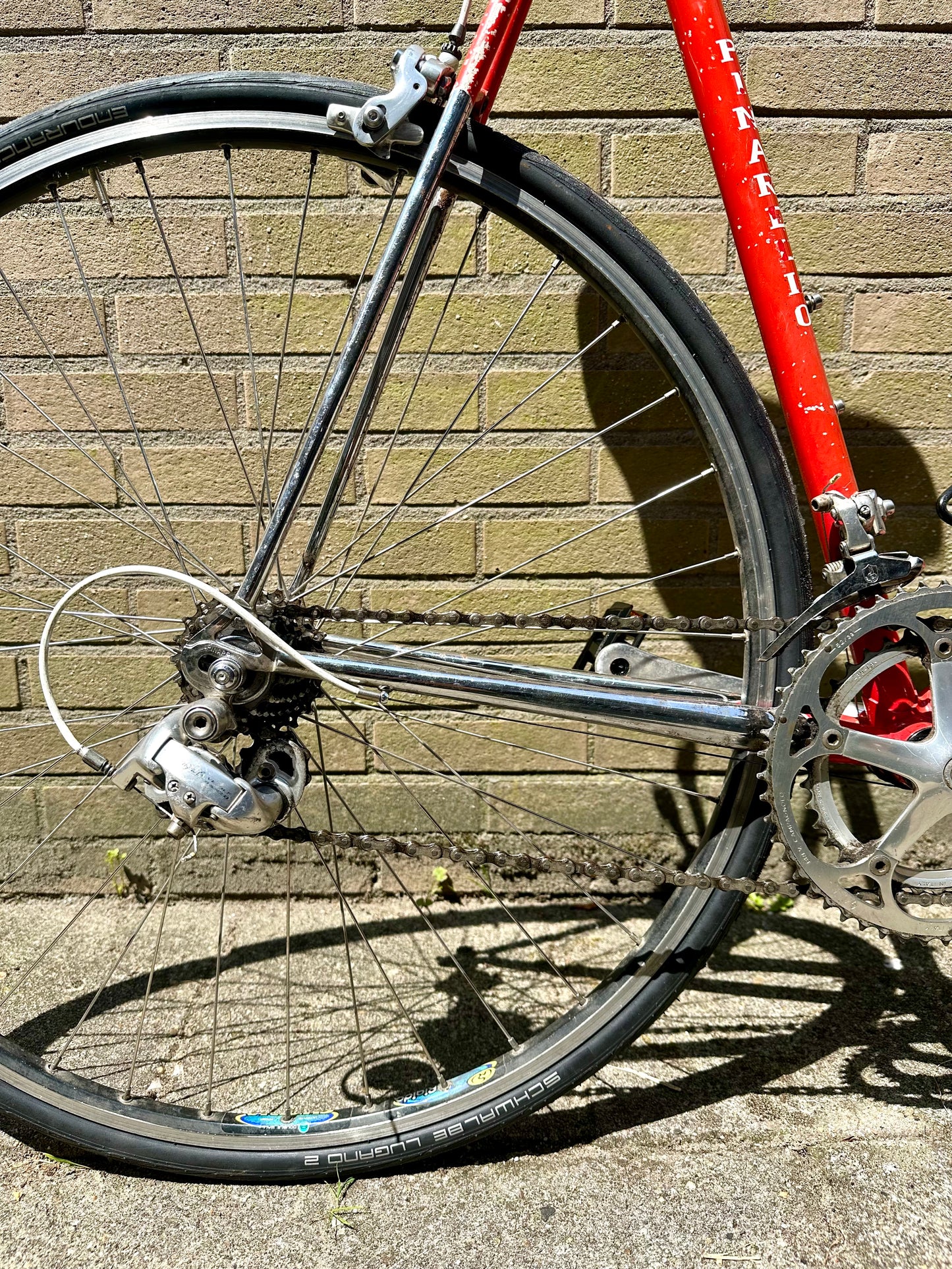 Pinarello Asola 60cm