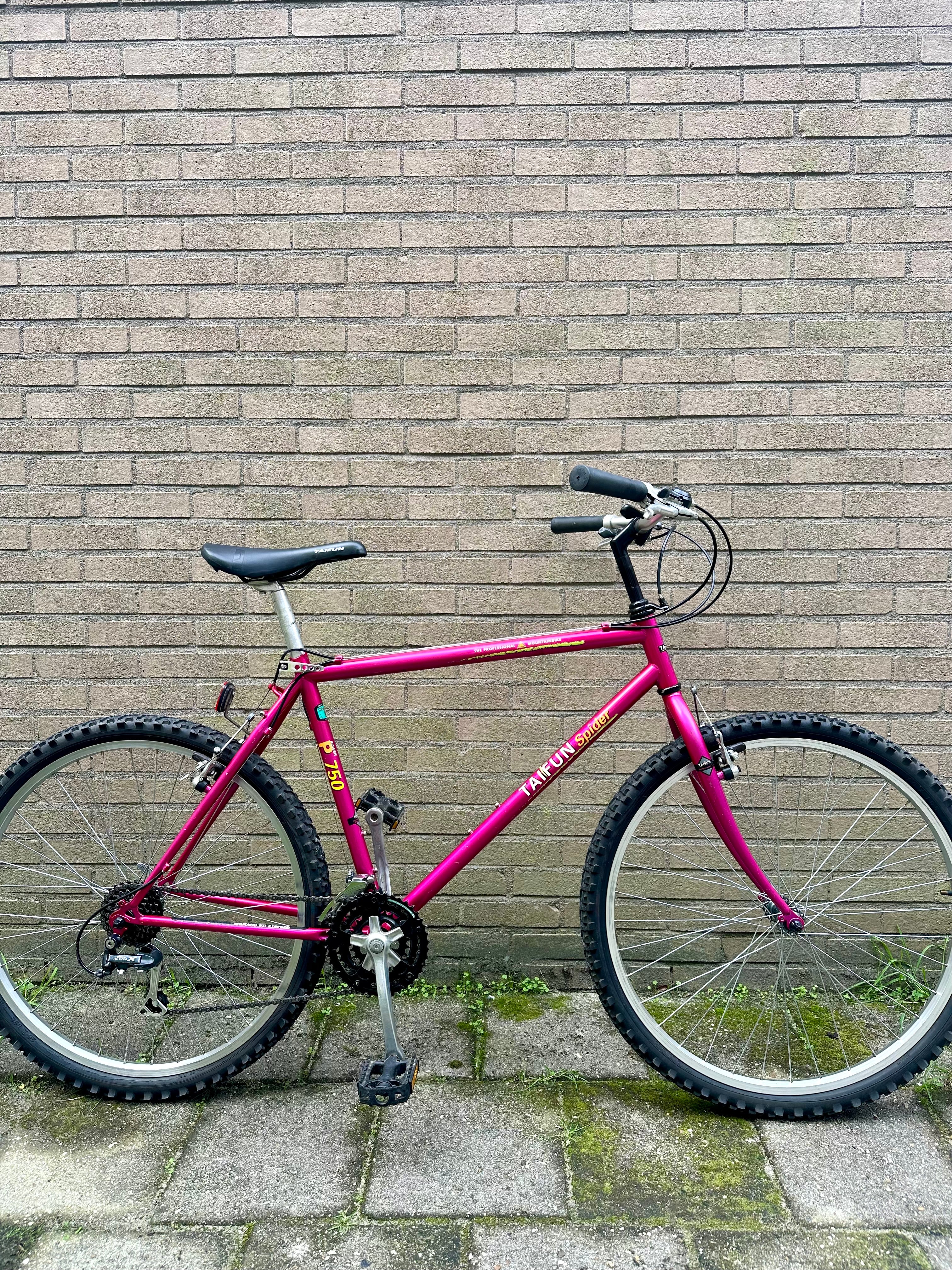 Taifun Spider P750 – Retro Bike Rotterdam