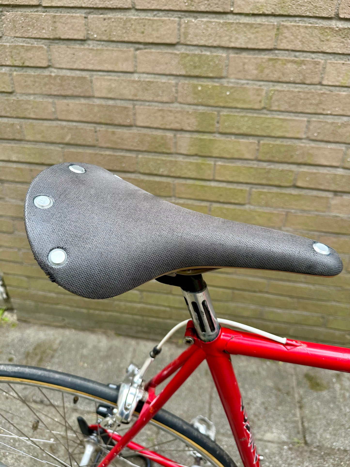 Loverdi 60cm Shimano RX100