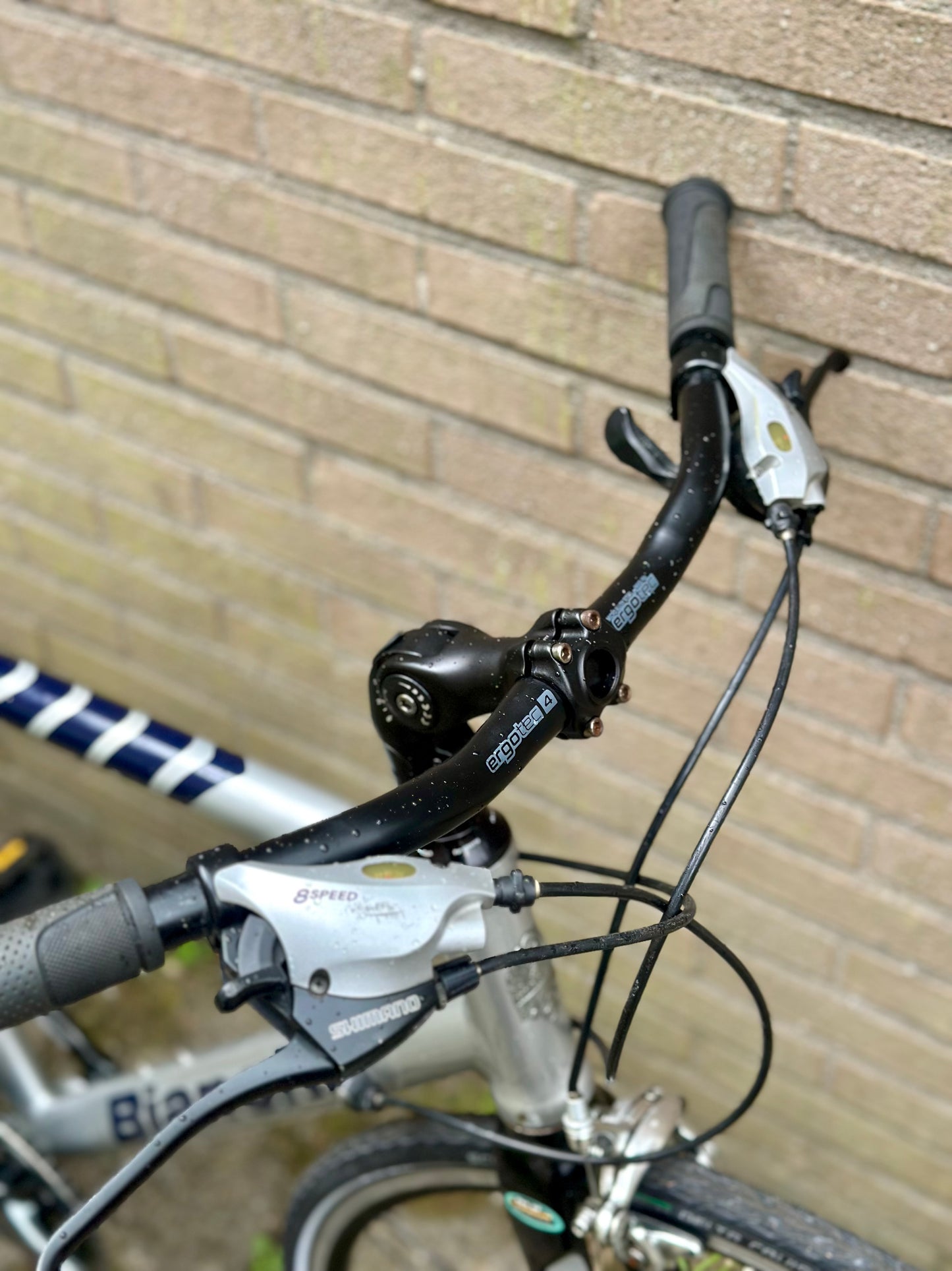 Bianchi Nirone 56cm