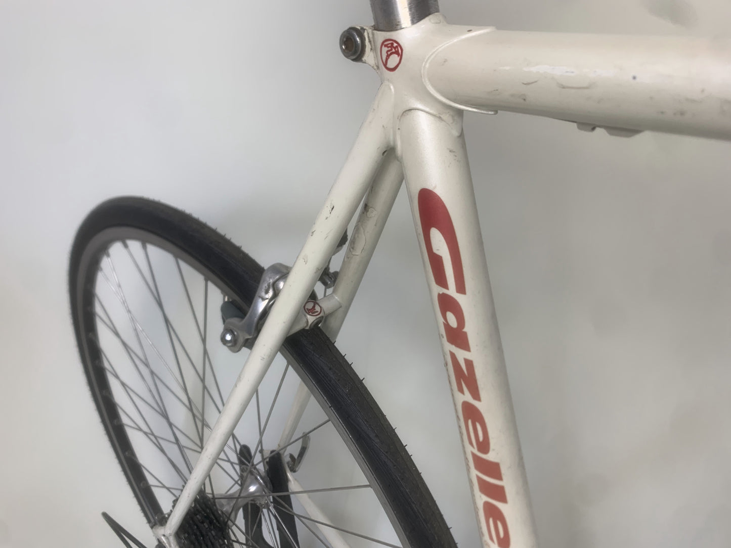 1998 Gazelle Team 56cm Campagnolo