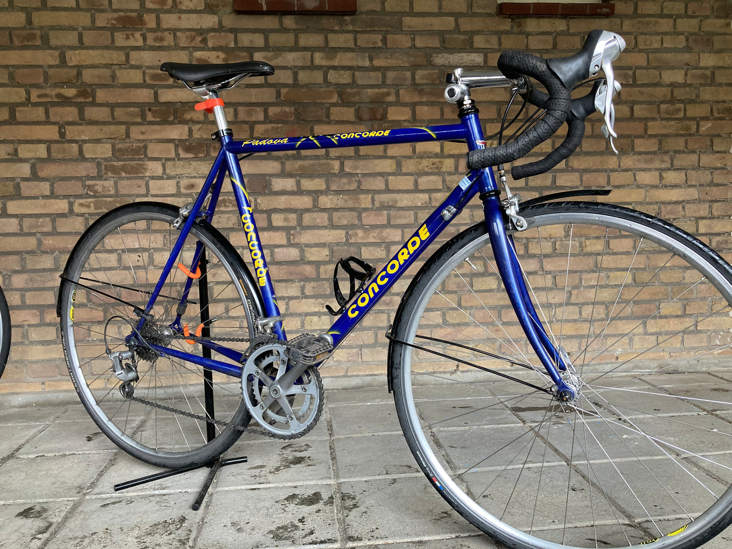Concorde Padova 57cm