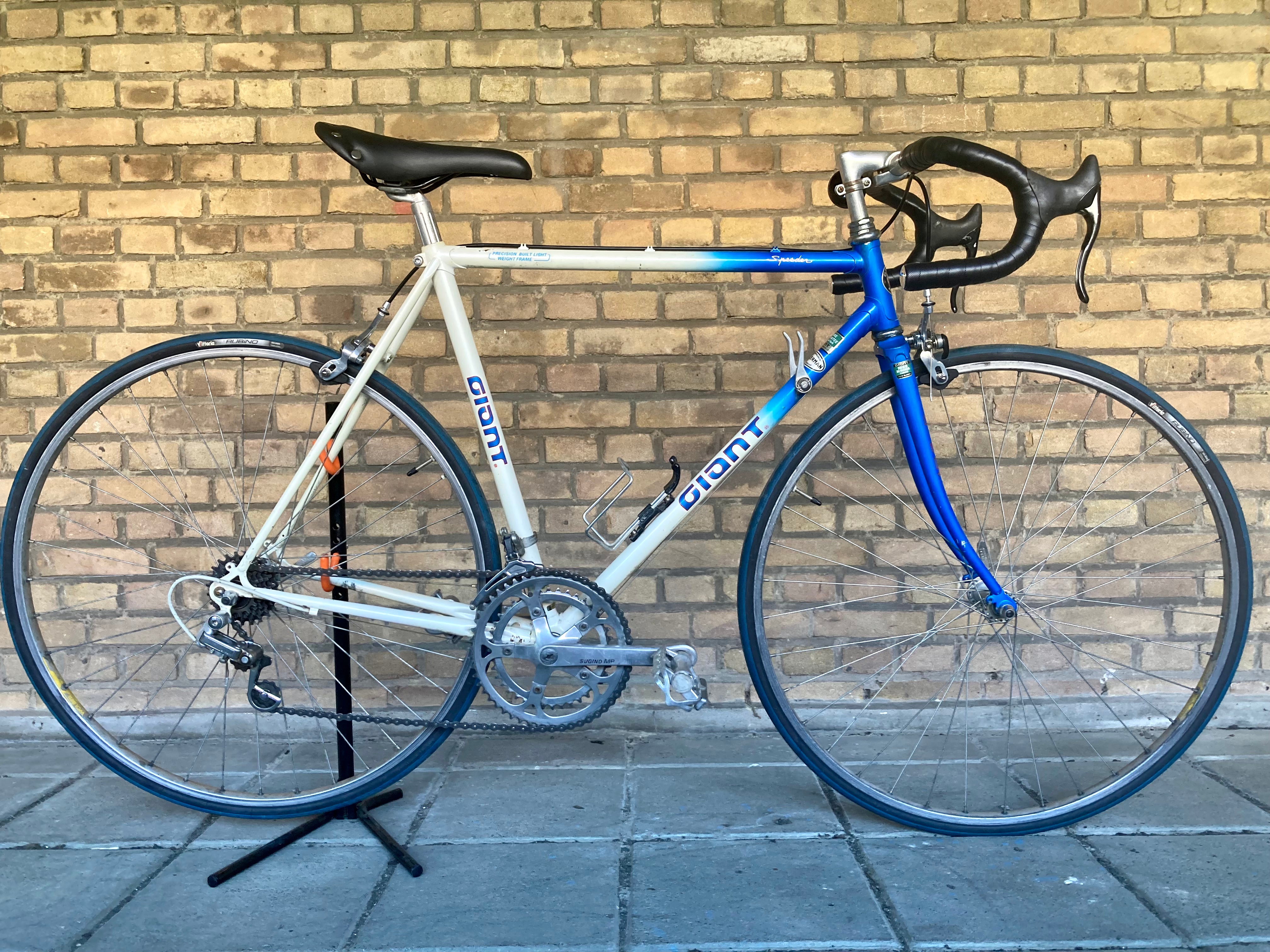 Vintage giant road store bike