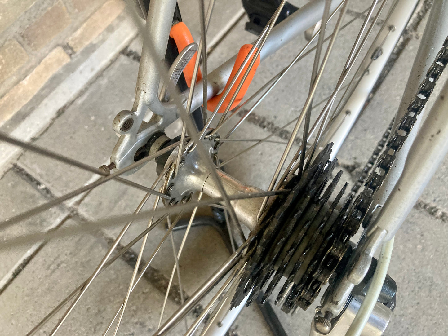Gazelle Trim Trophy 59cm Reynolds 531 Shimano 105