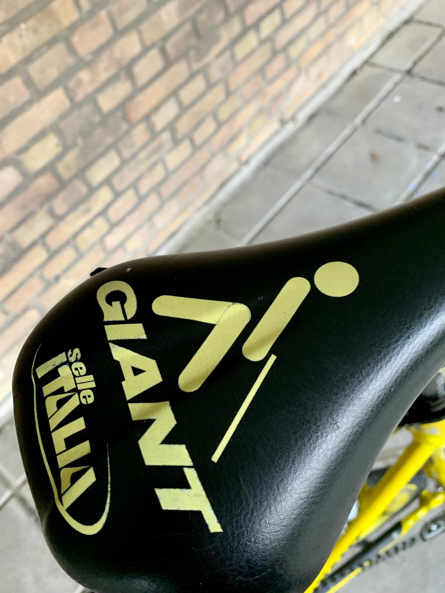 1998 Giant TCR Team Once replica 55.5cm Campagnolo