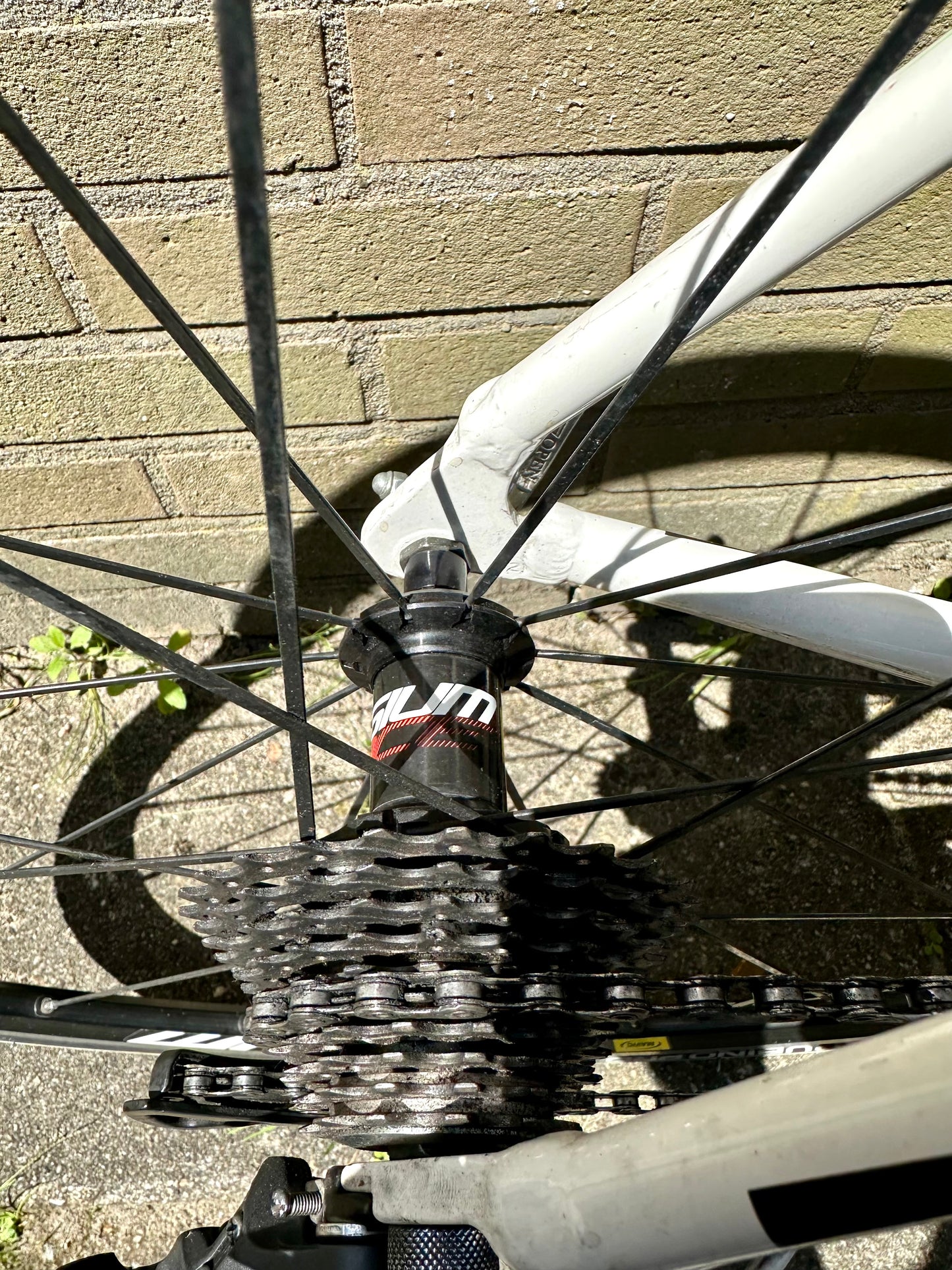 Bulls Dessert Falcon 2 Shimano Ultegra 9S