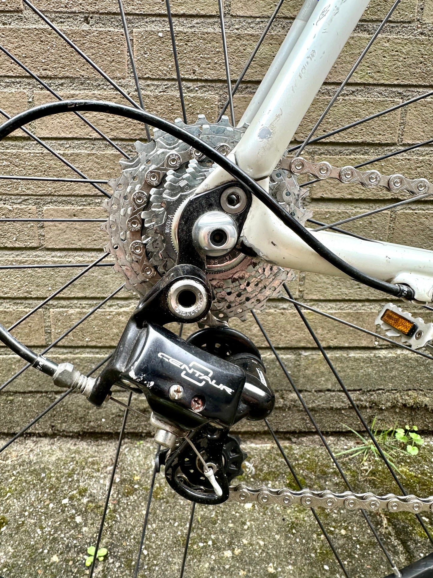 Focus Izalco Expert 58cm Campagnolo Chorus