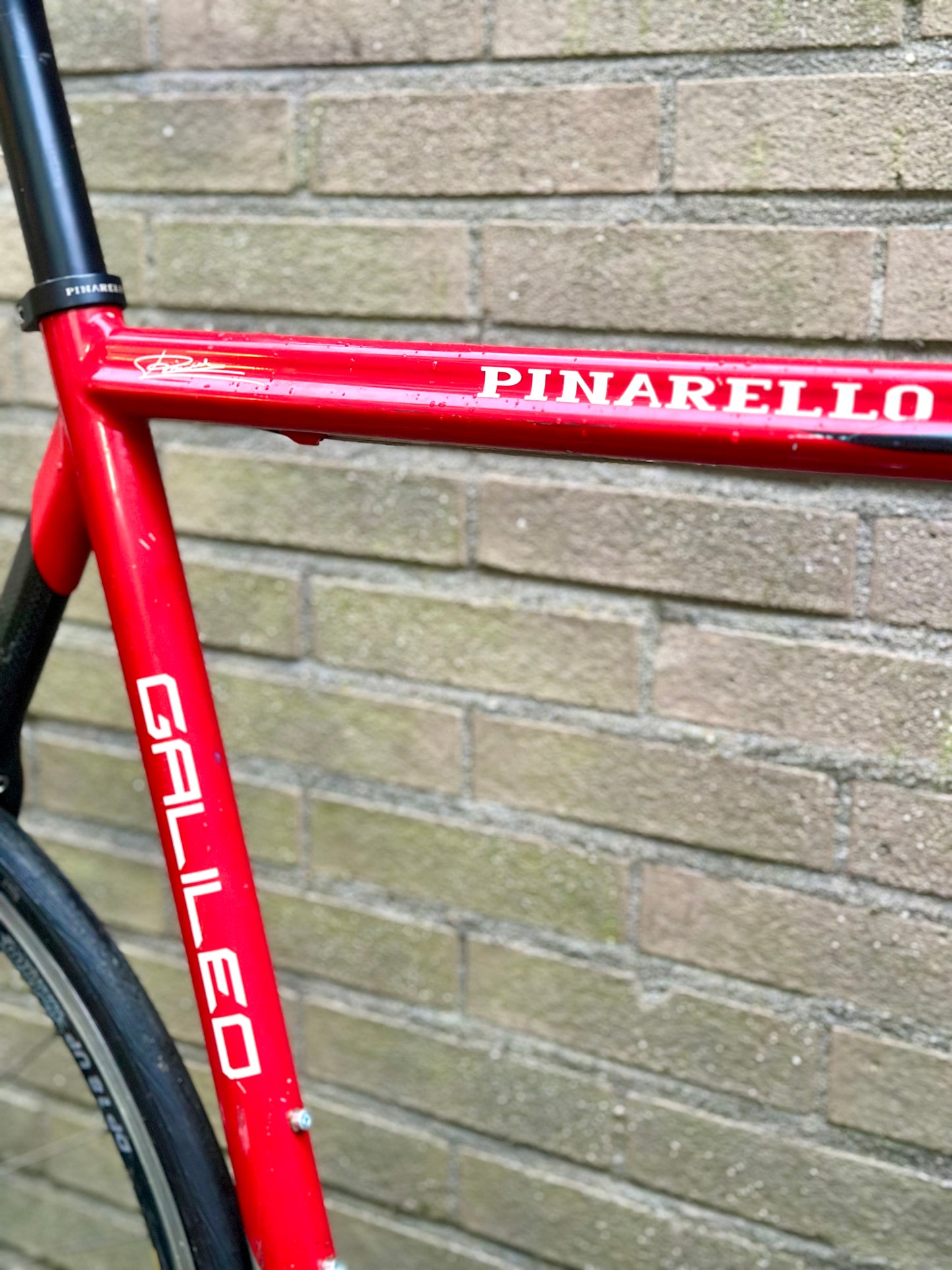 Pinarello Galileo single speed