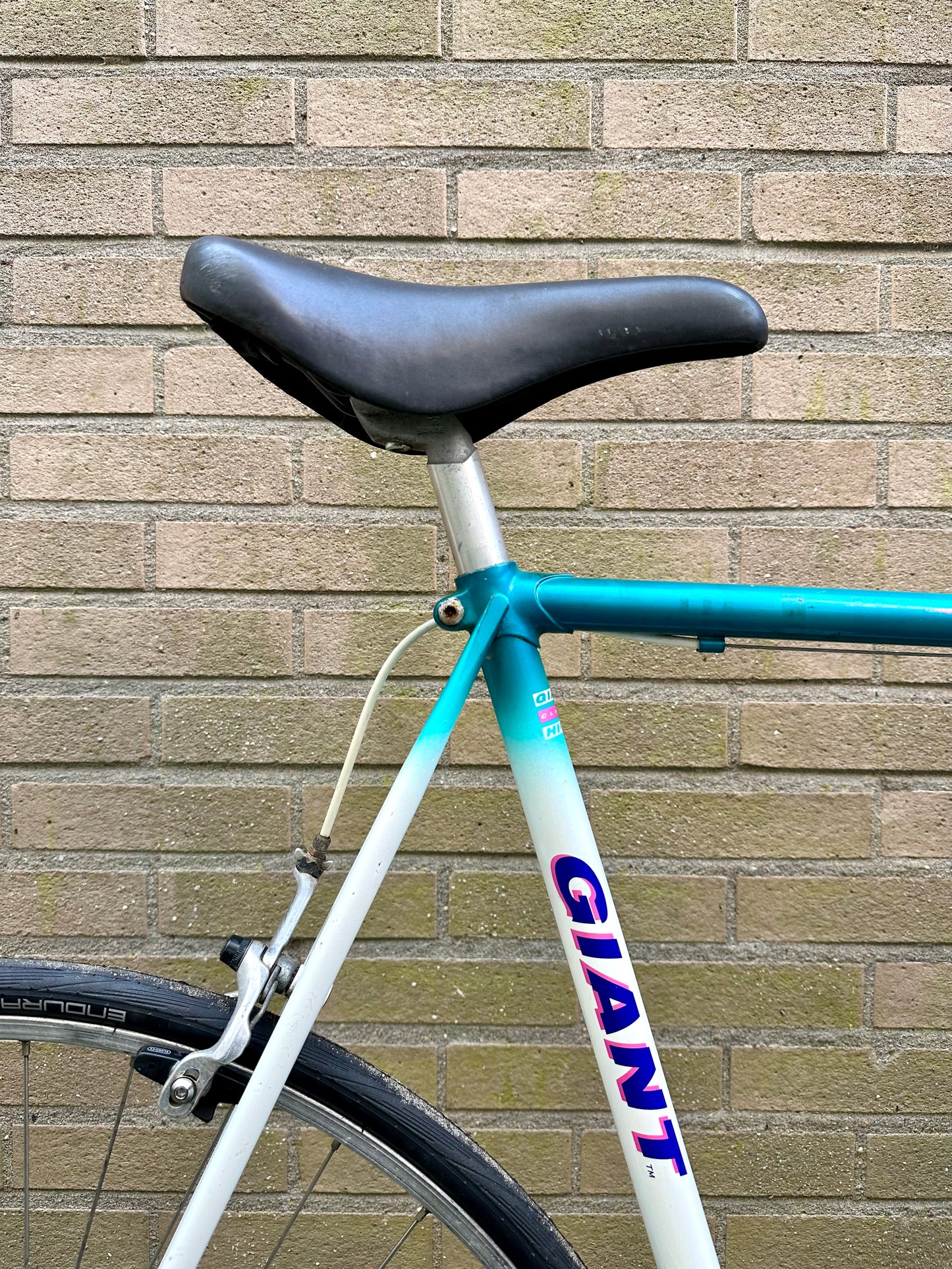 Giant Speeder 63cm