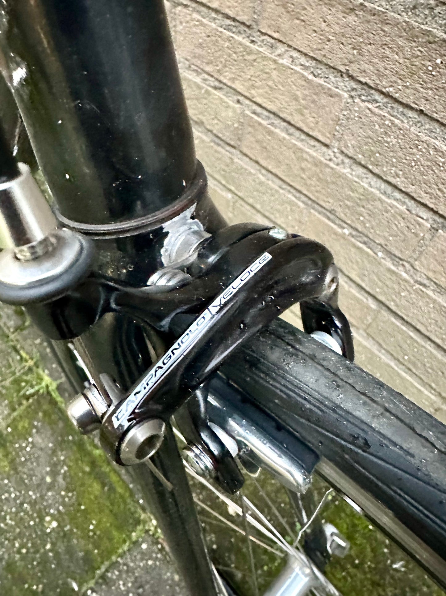 Pinarello Galileo single speed