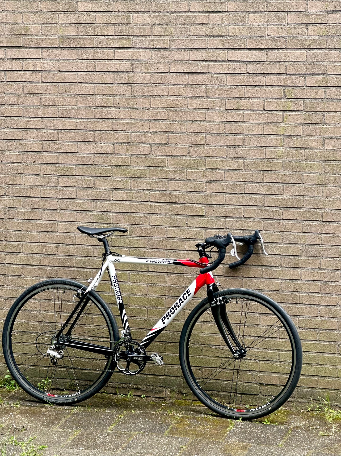 Prorace 56cm Campagnolo 10s