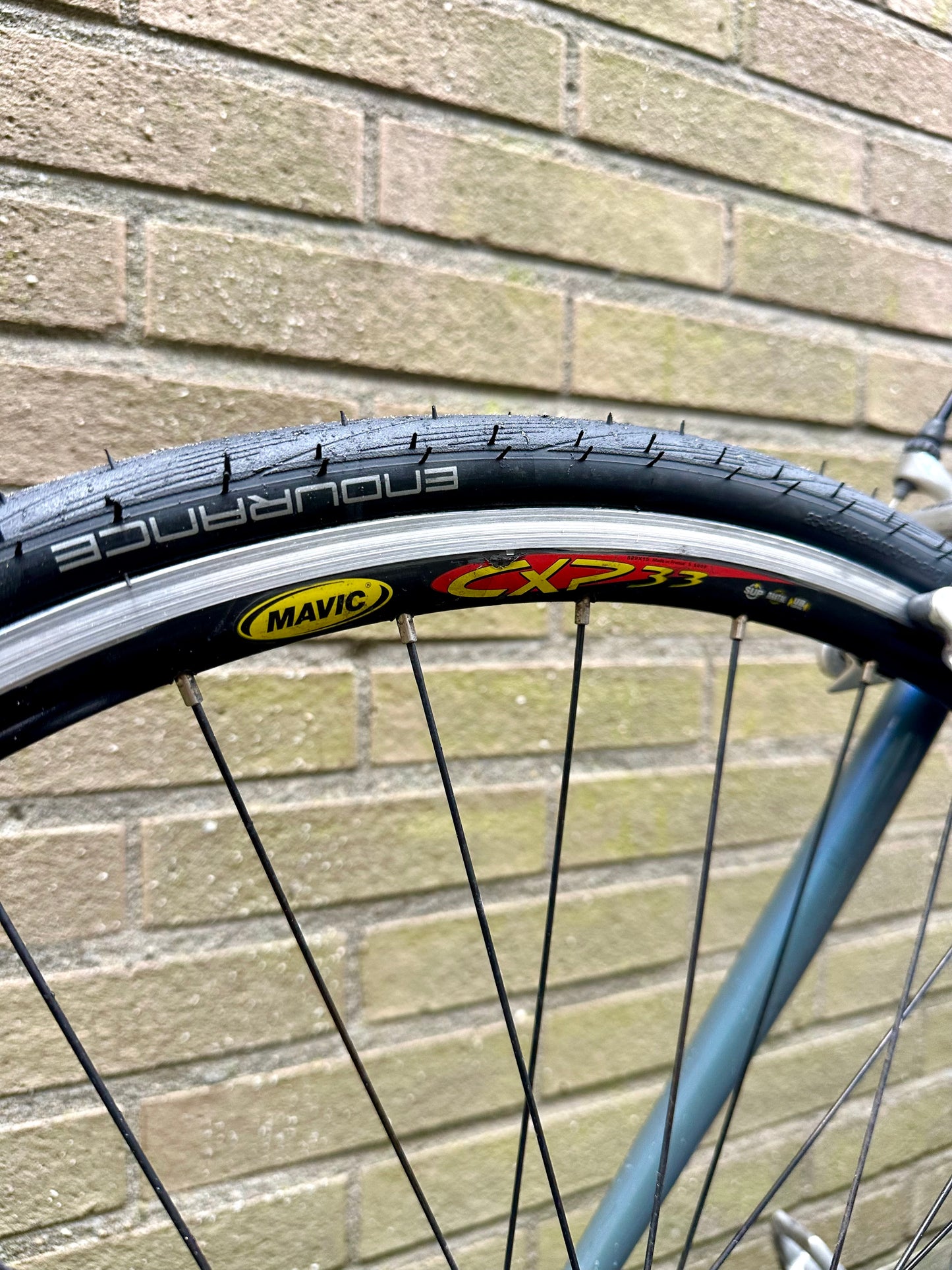 Storck Scenario Race 56cm Campagnolo Daytona 9s