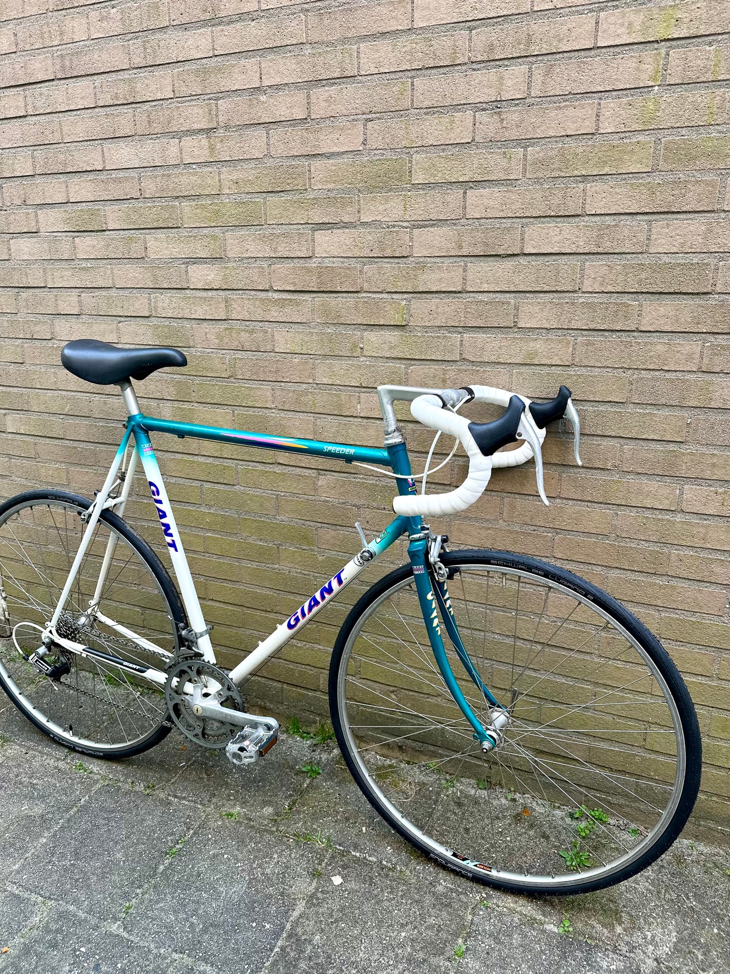 Giant Speeder 63cm
