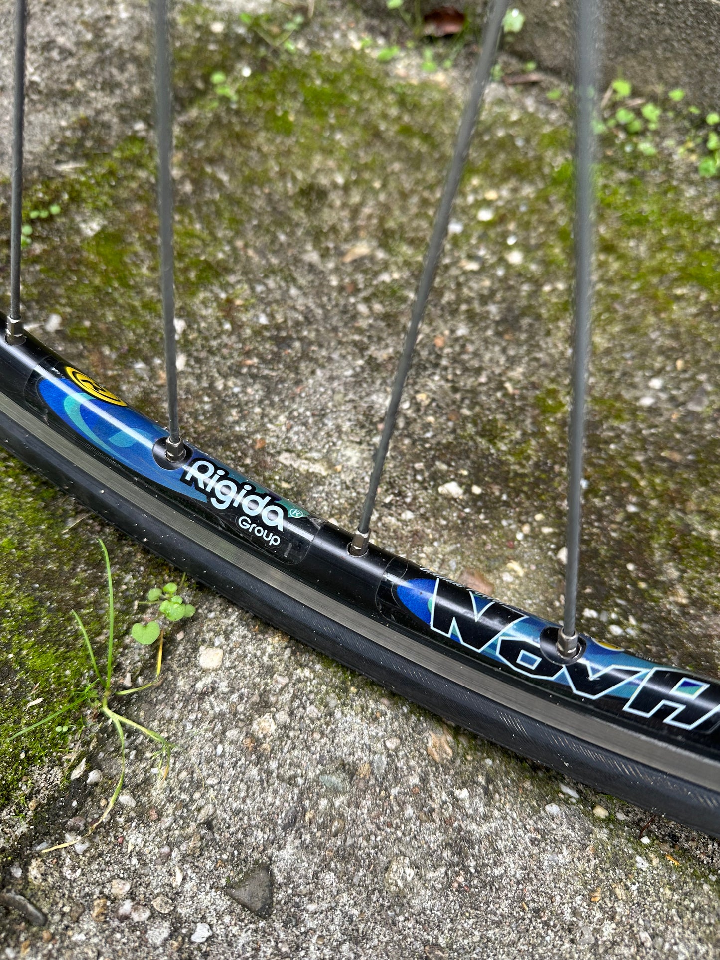 Trek Domane 56cm