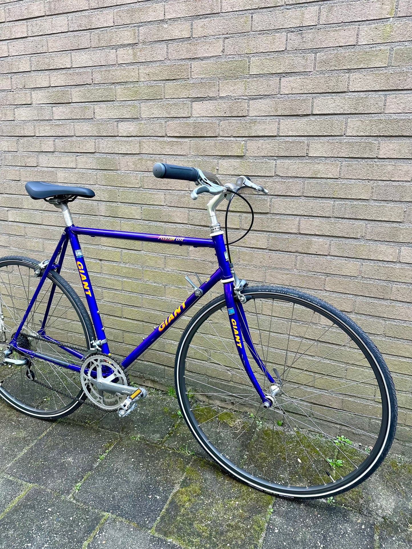 Giant Peloton Lite 56cm