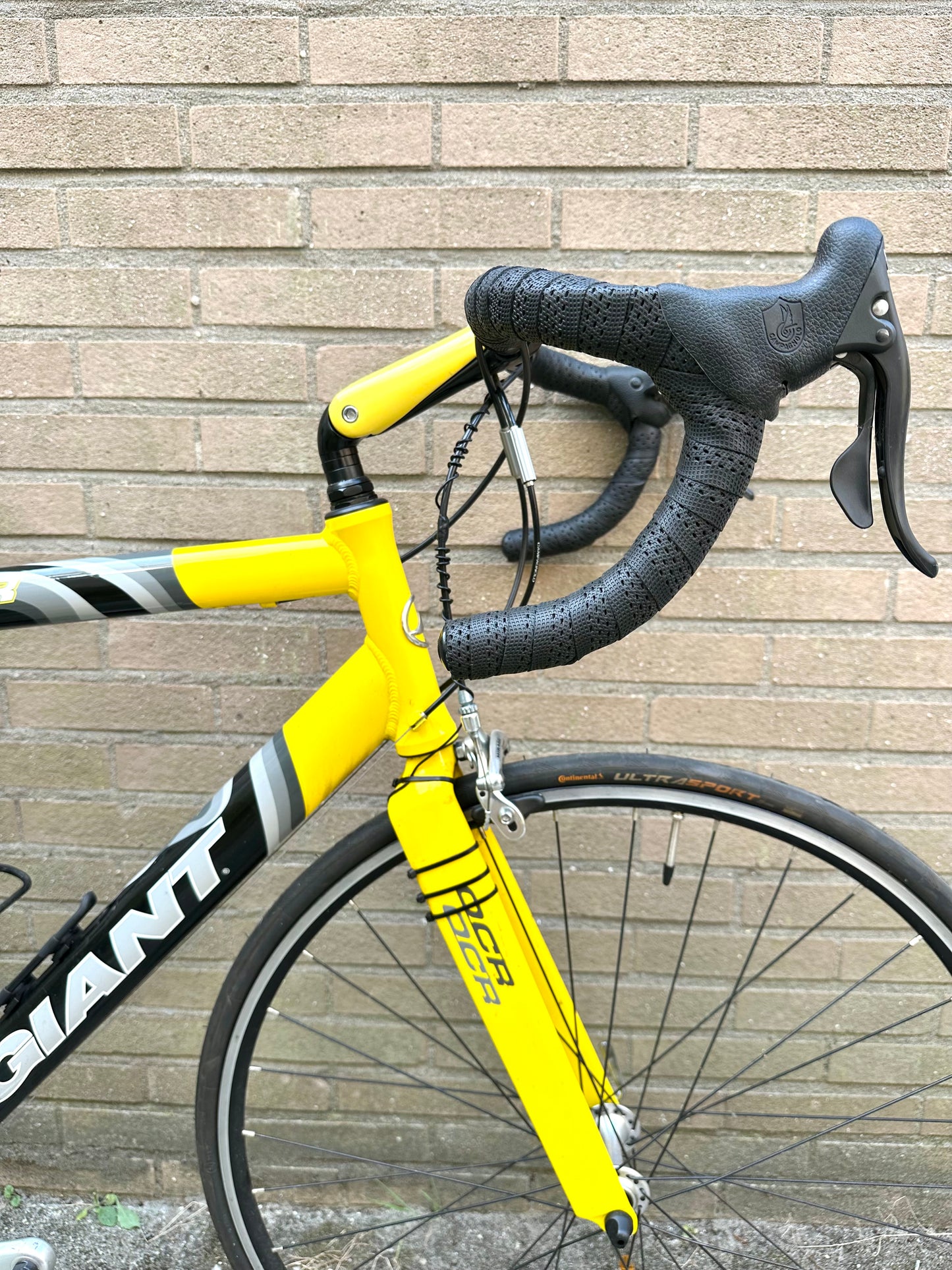 Giant OCR 56cm Campagnolo 9s