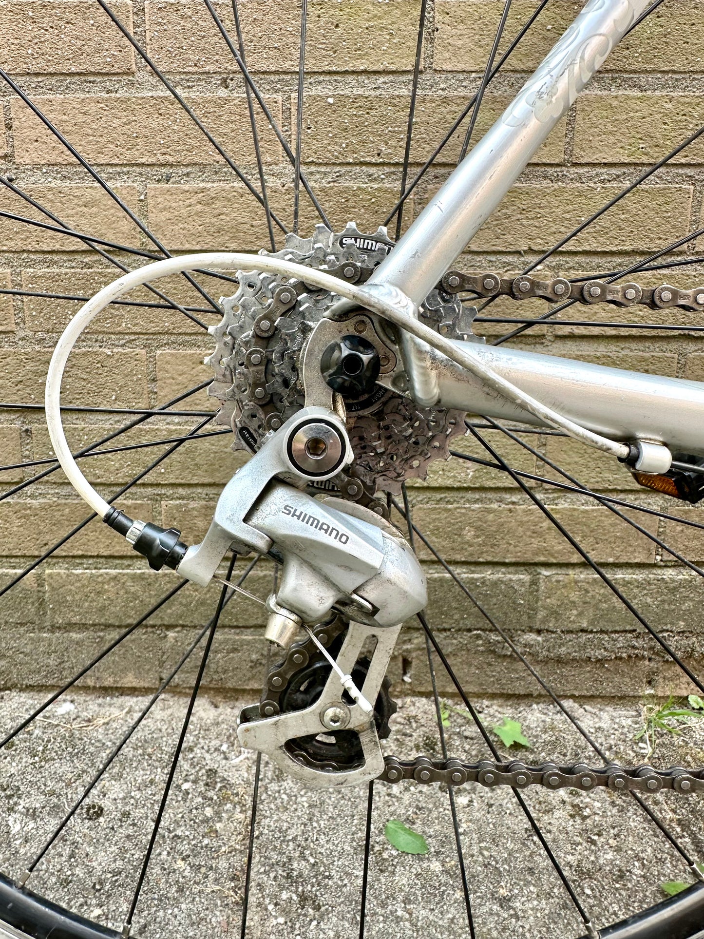 Bulls Ancura 50cm Shimano Tiagra 8s