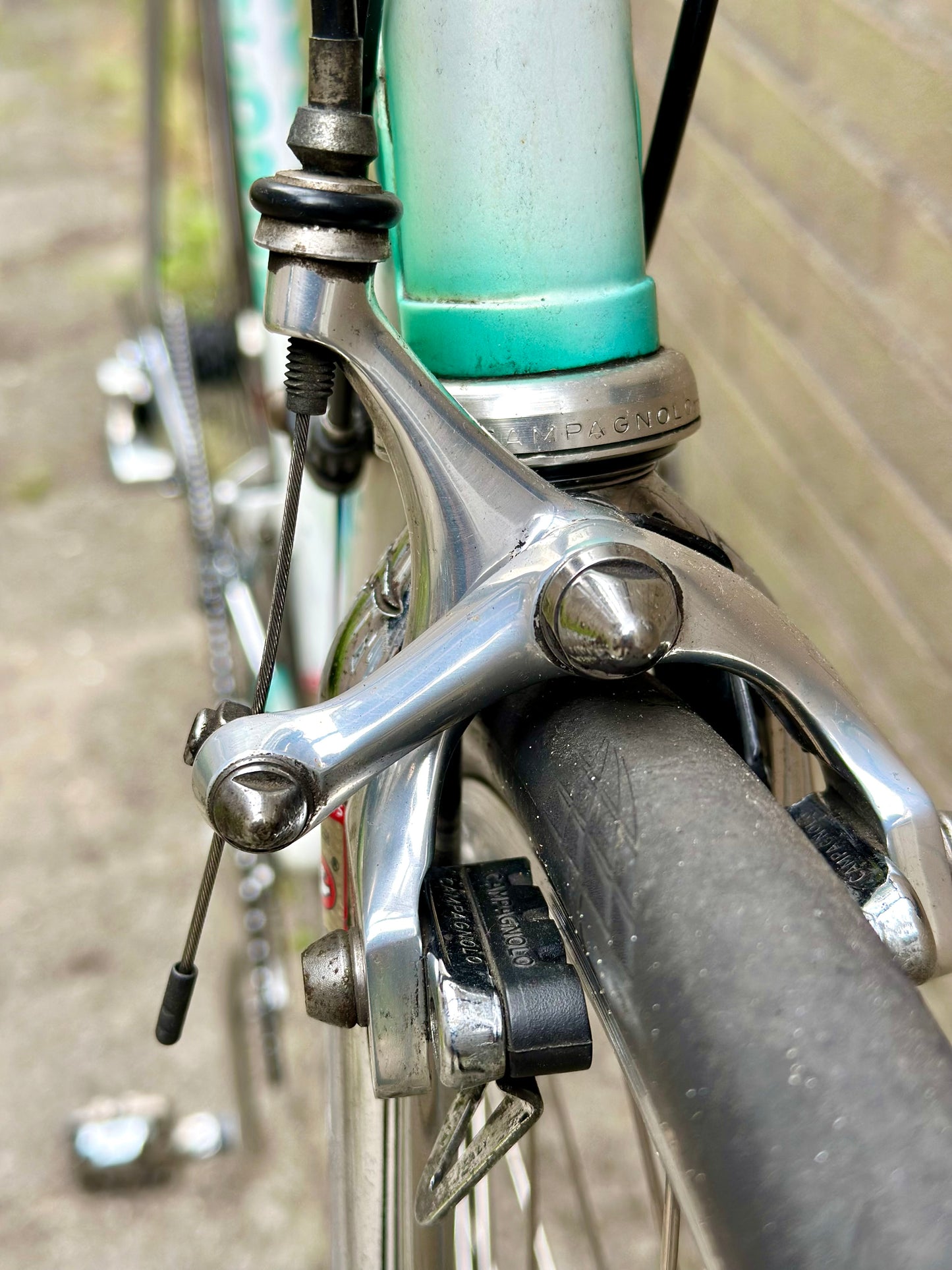 Concorde Columbus Thron 59cm