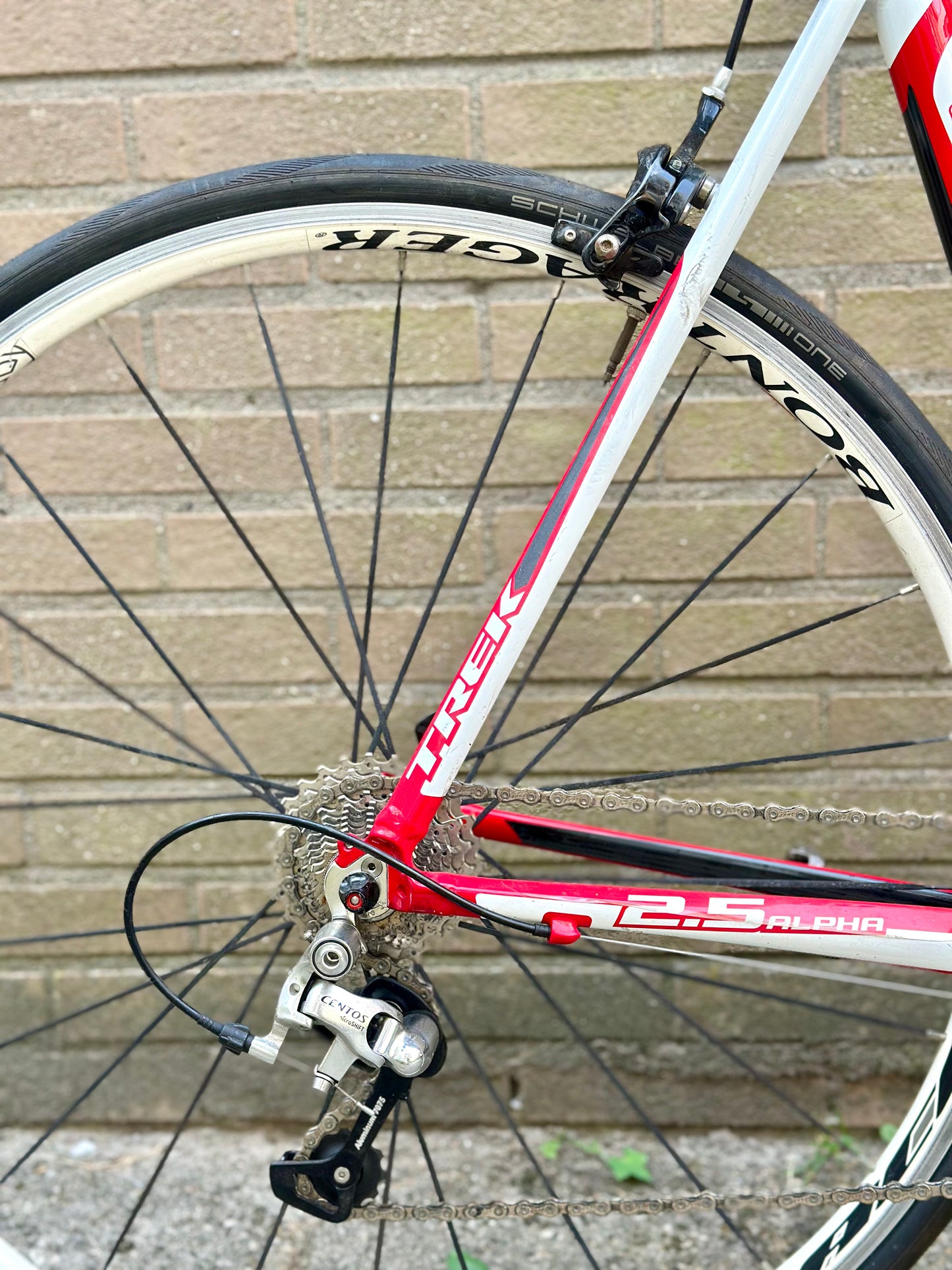 Trek Alpha 58cm 10s