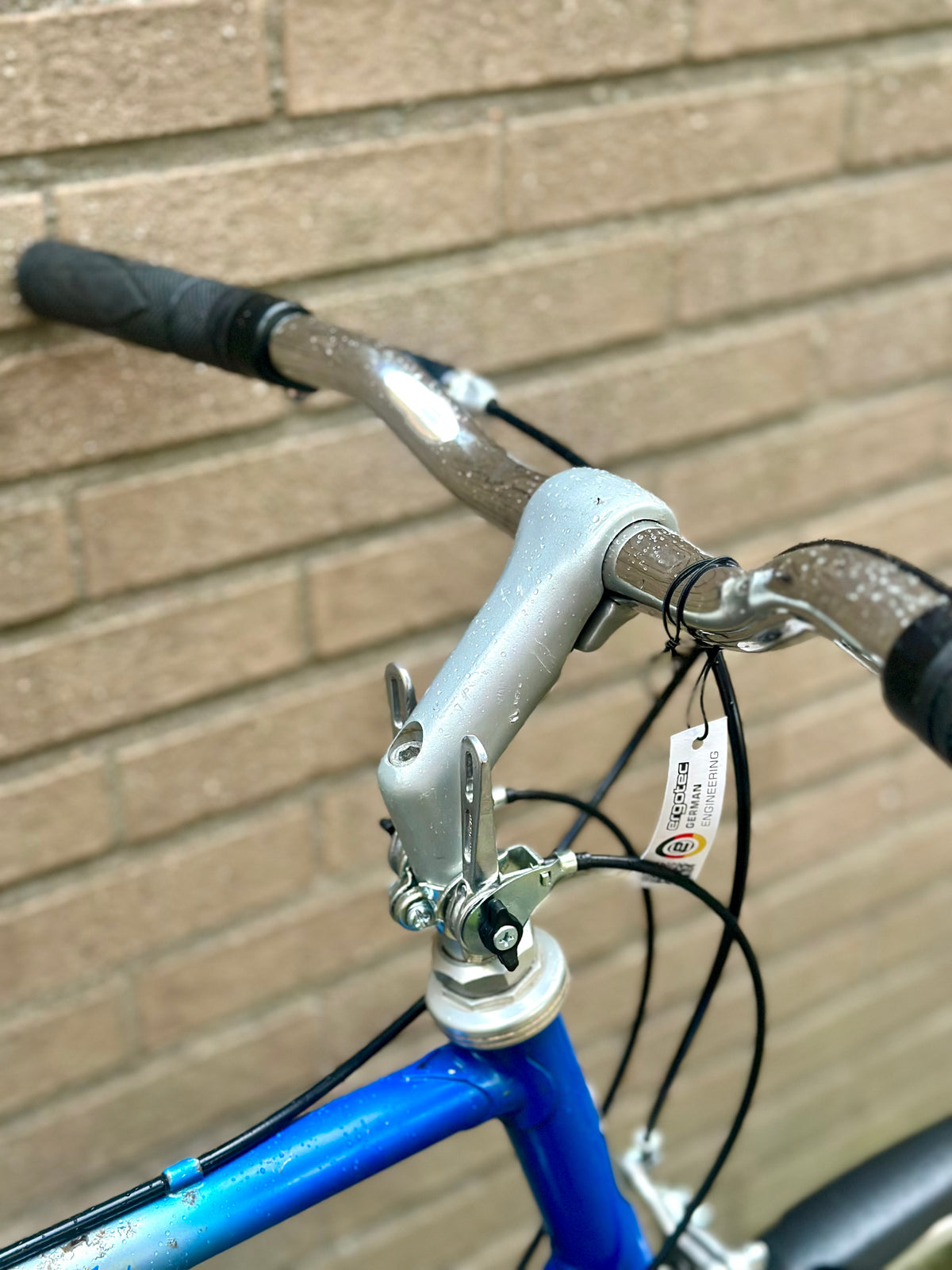 Gazelle Trim Trophy 60cm