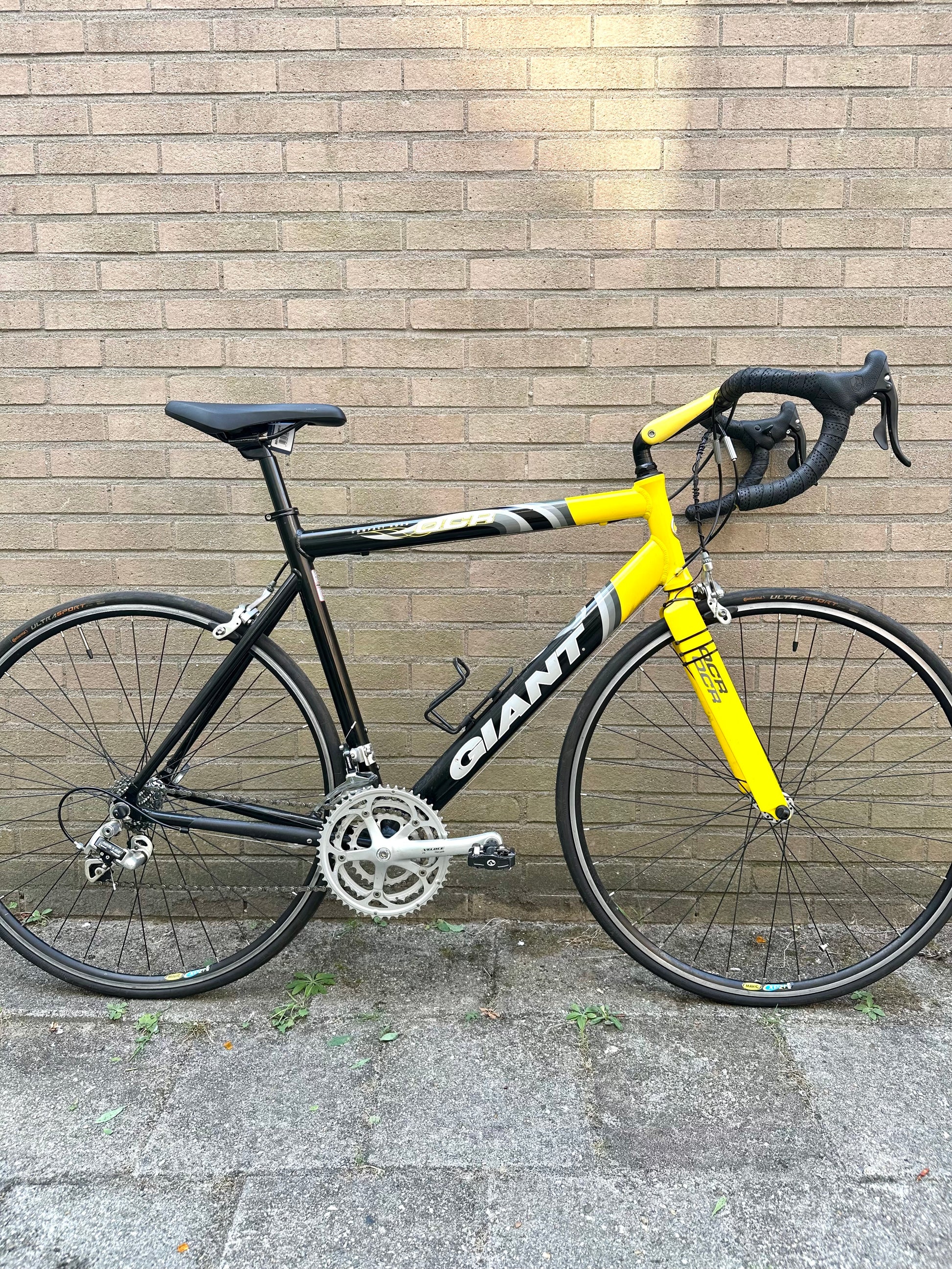 Giant OCR 56cm Campagnolo 9s