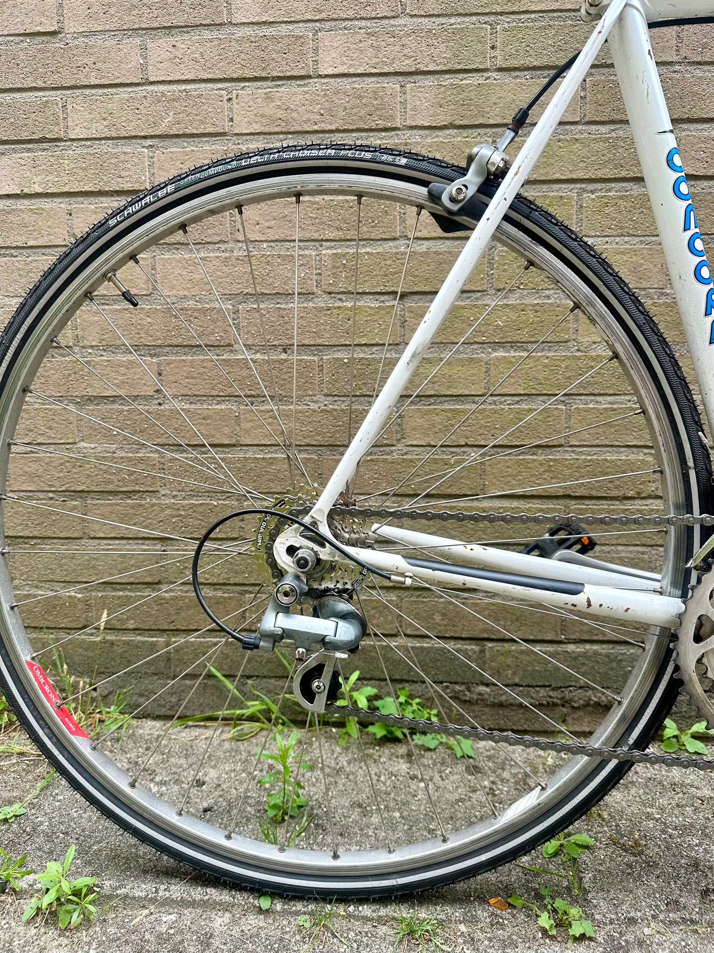 Concorde Classic 54cm