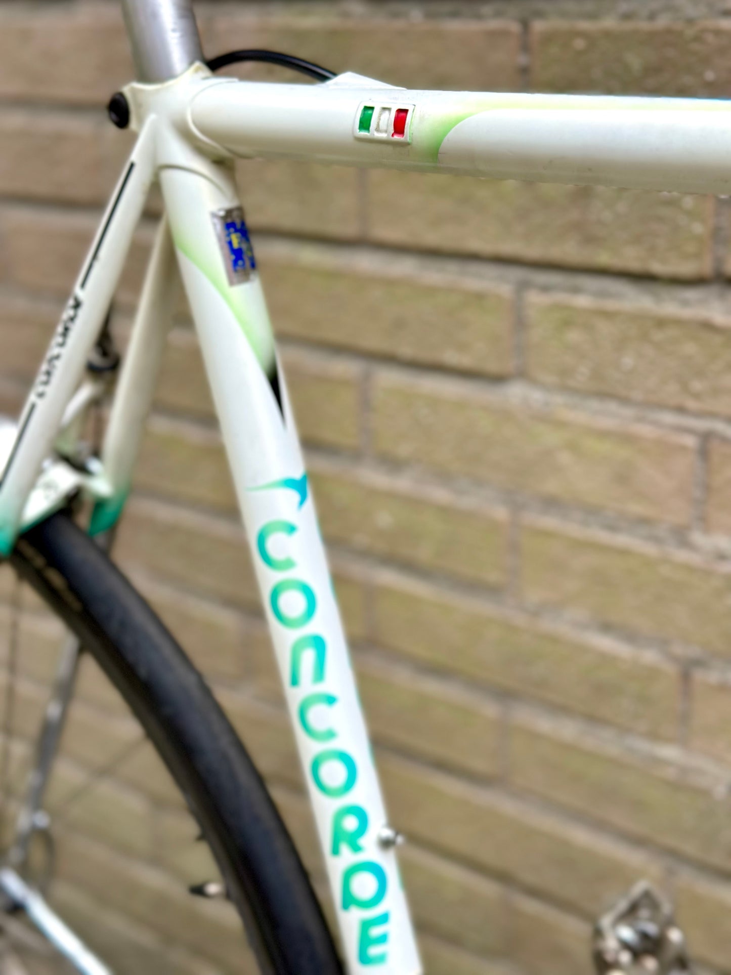 Concorde Columbus Thron 59cm