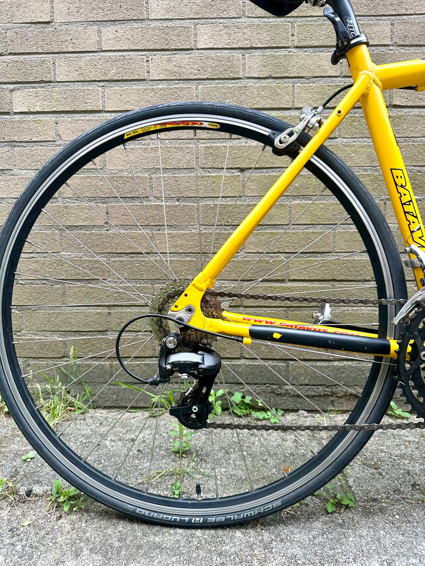 Batavus Cruiser 50cm