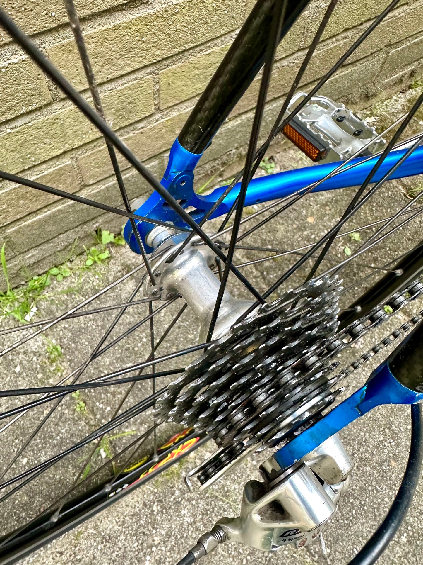 Van Tuyl 61cm