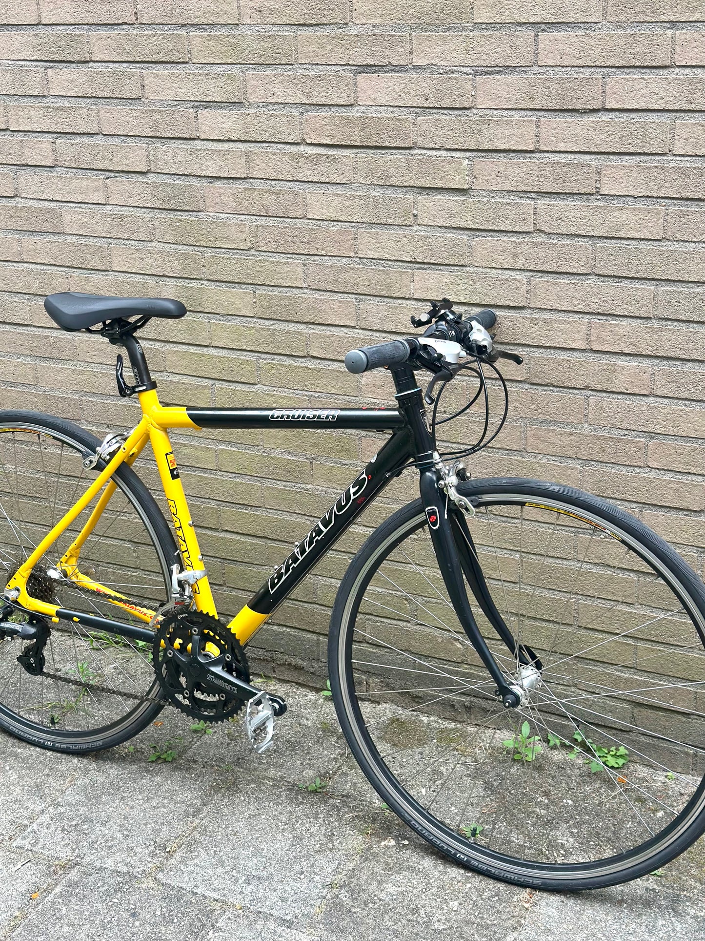 Batavus Cruiser 50cm