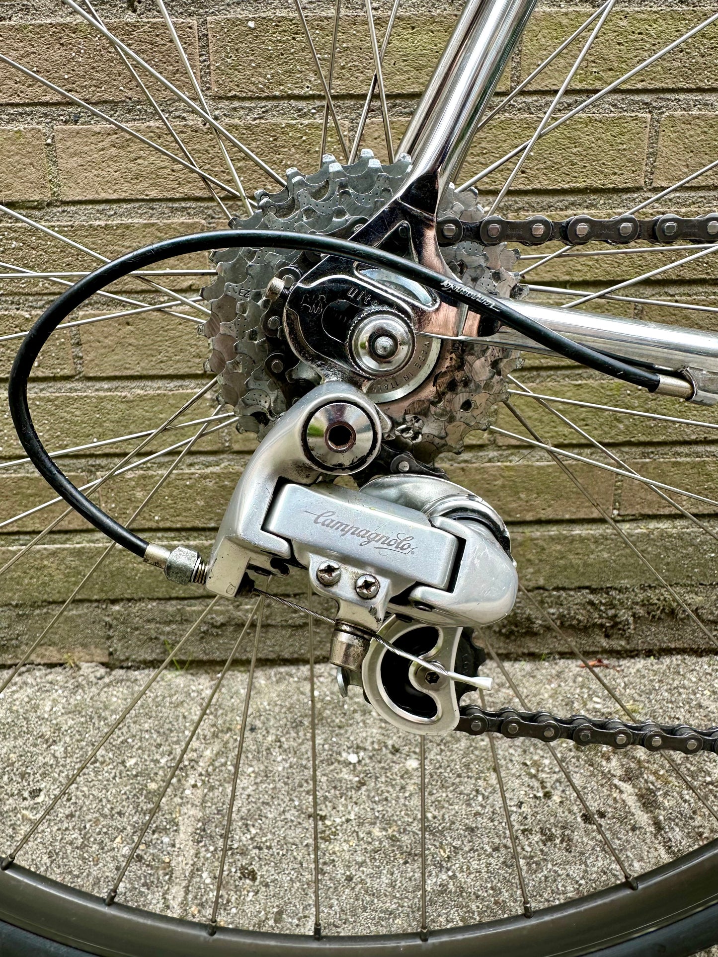 Concorde Columbus Thron 59cm