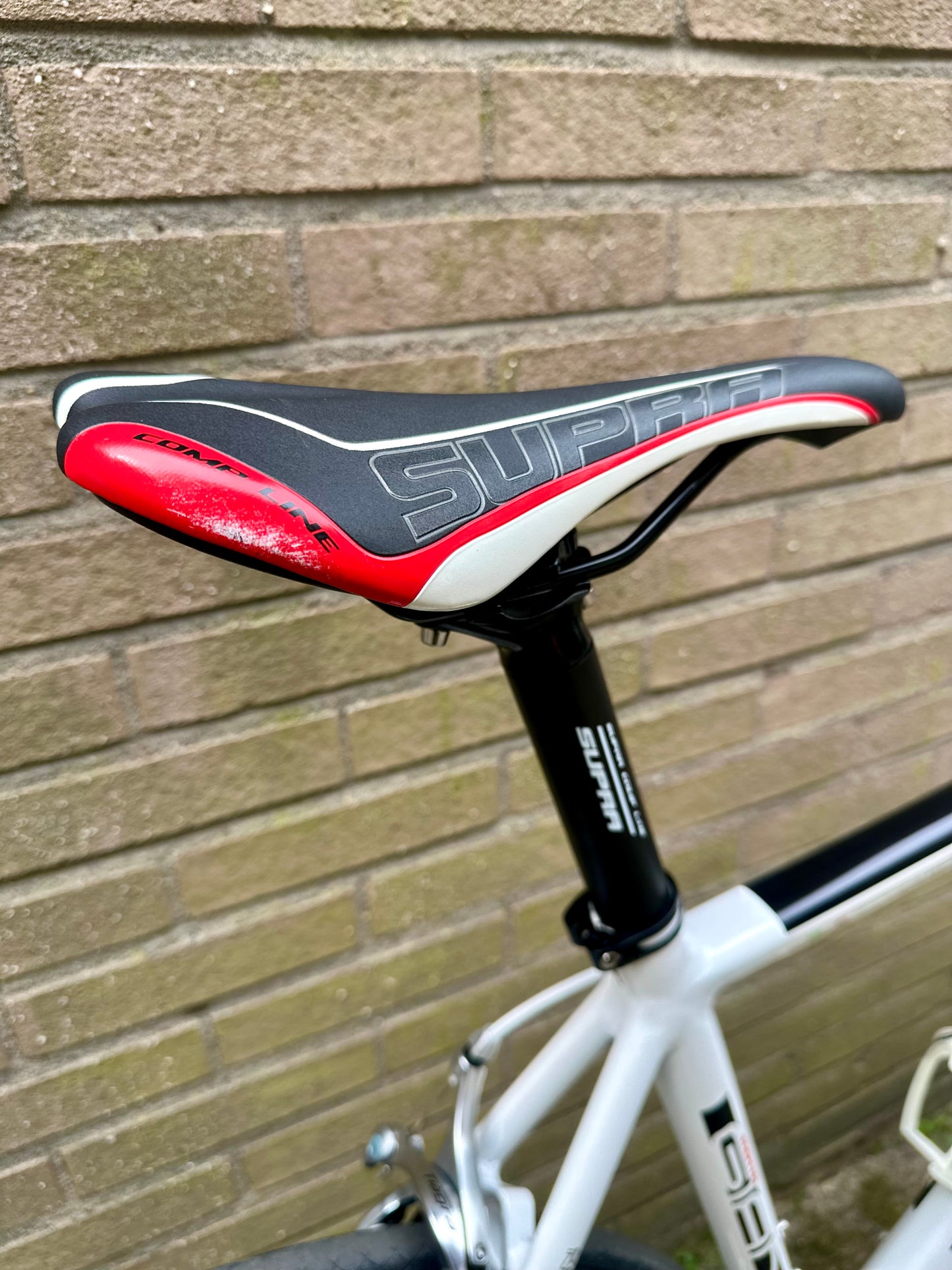 Giani Motta 56cm