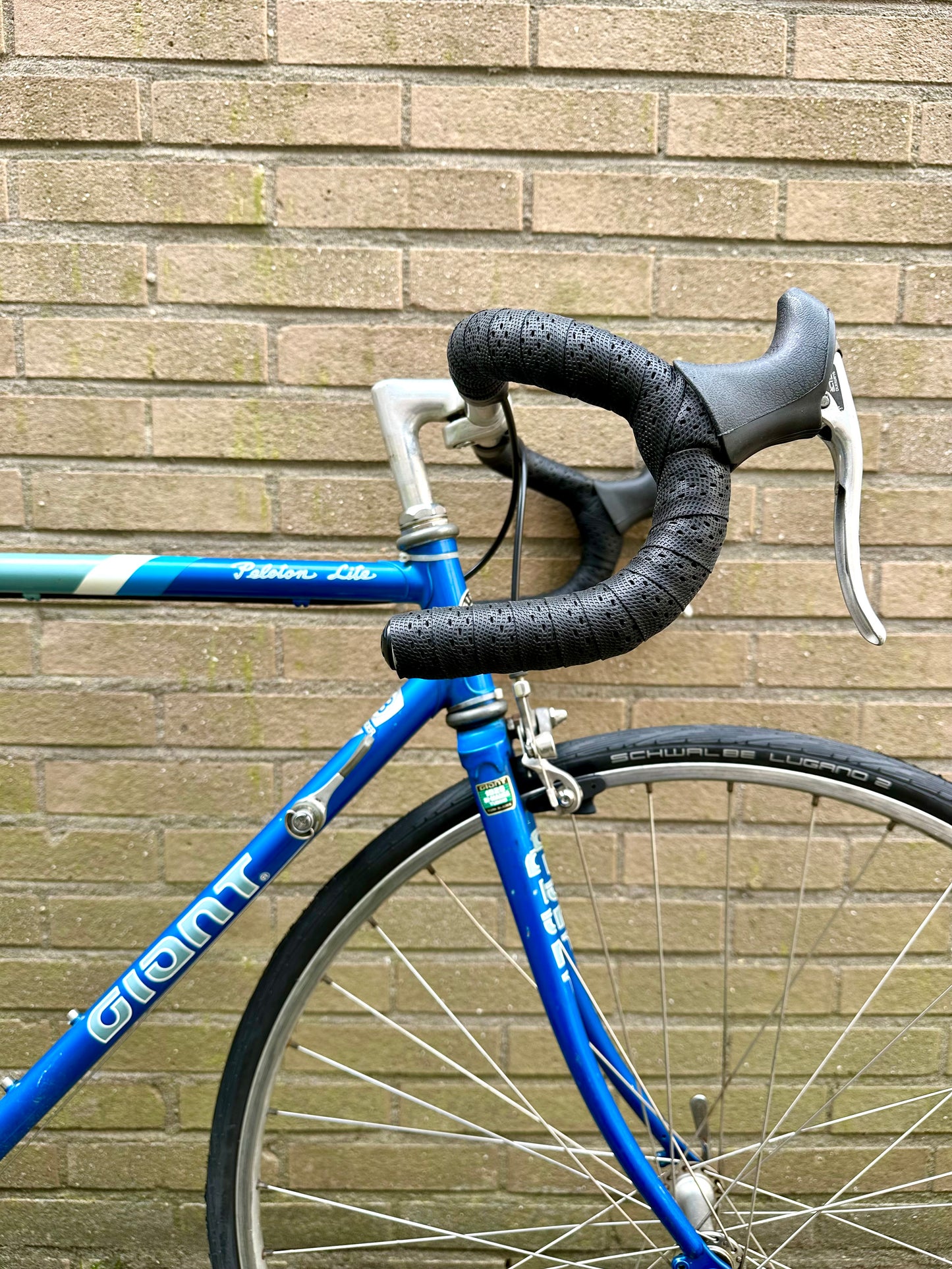 Giant Peloton Lite 54cm