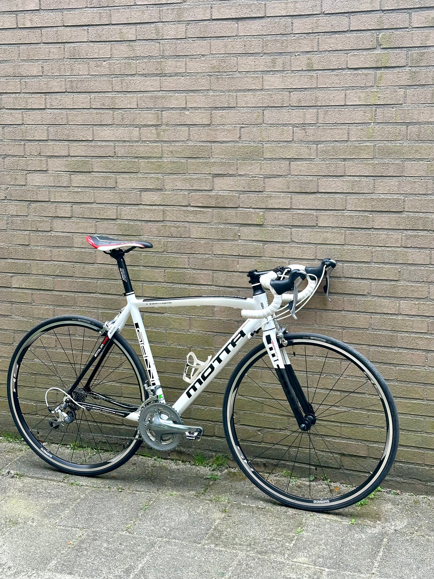 Giani Motta 56cm