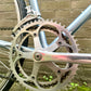 Gazelle Trim Trophy 60cm