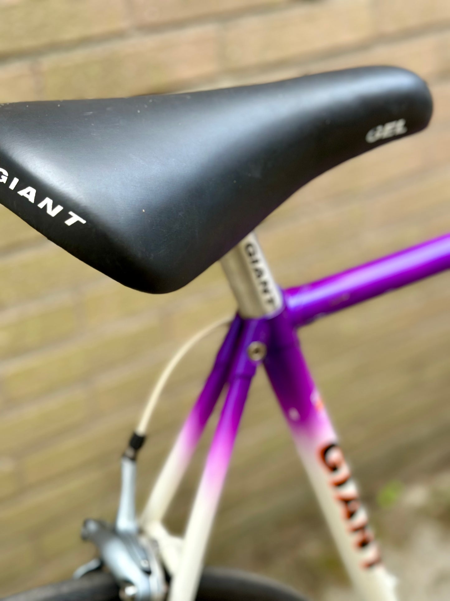 1991 Giant Peloton Lite 58cm