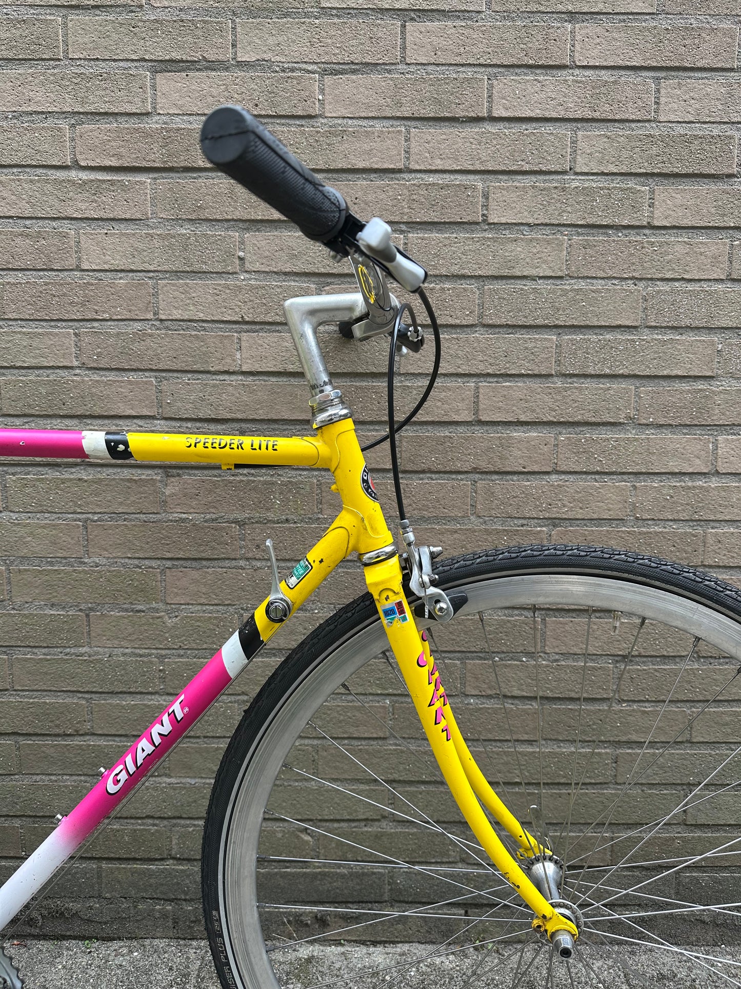 Giant Speeder Lite 57cm