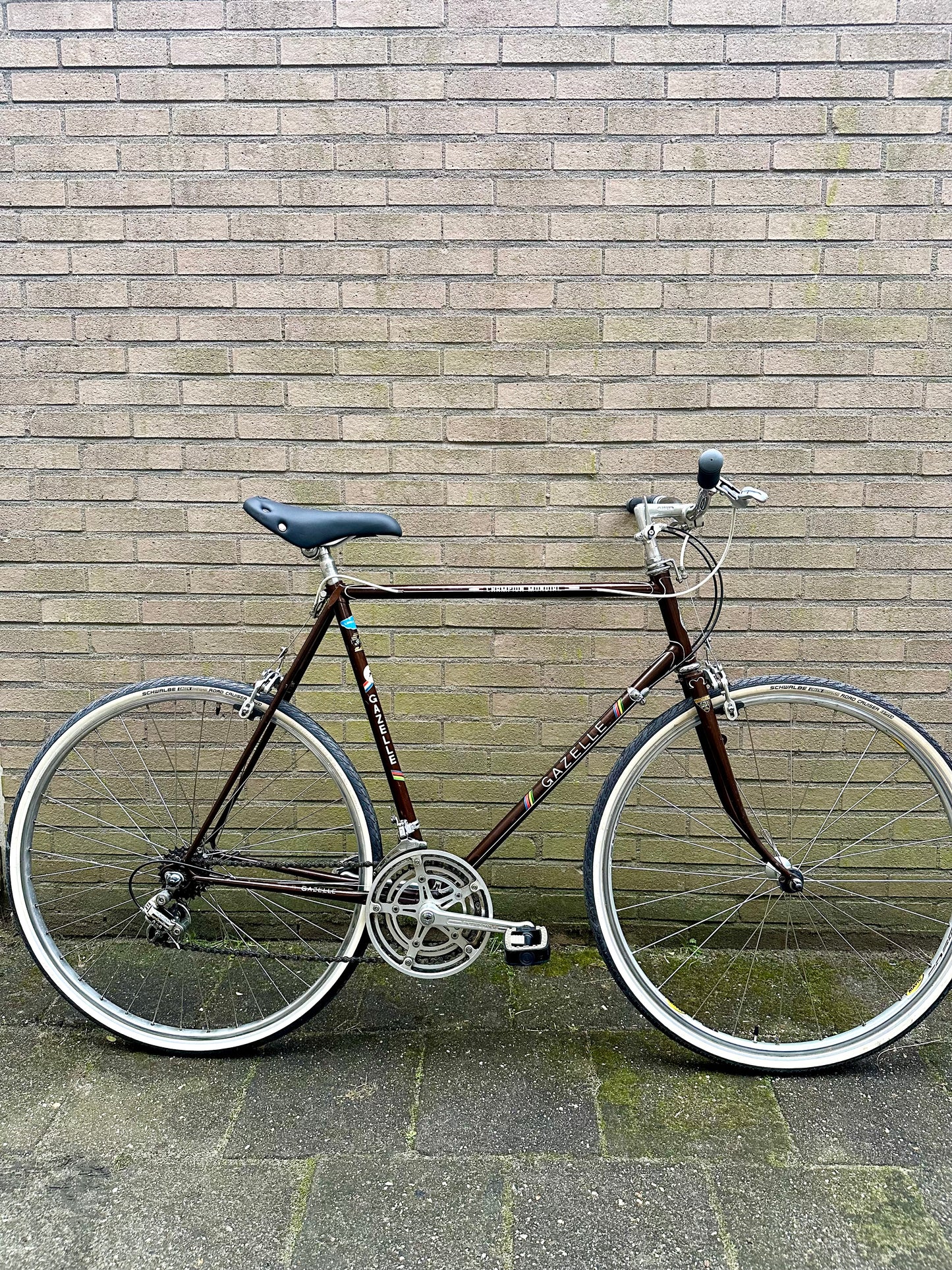 70's Gazelle Champion Mondial 60cm