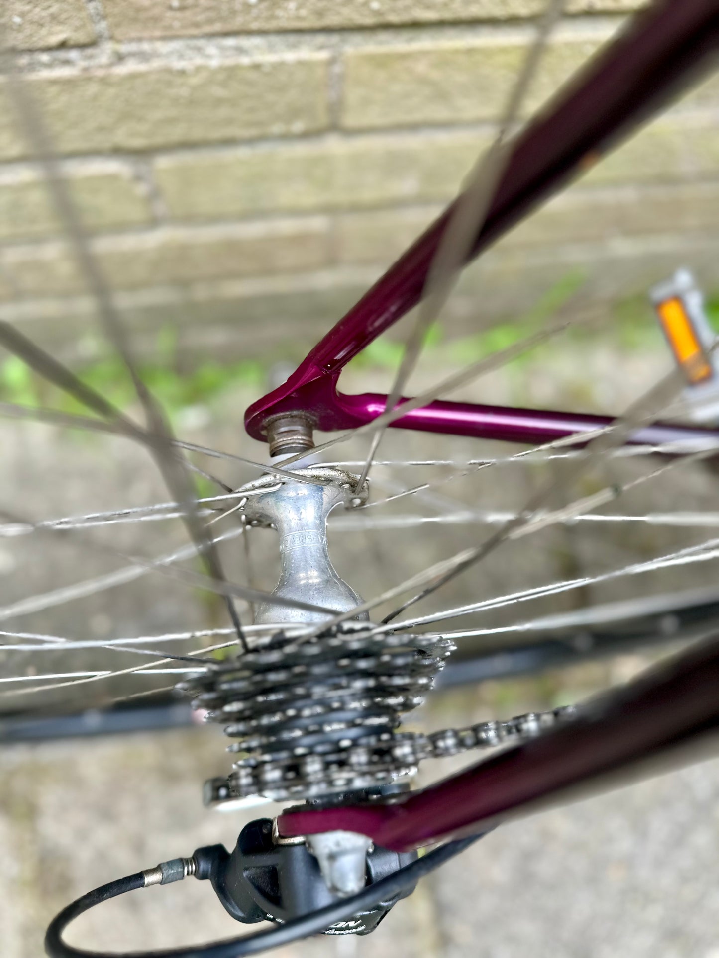Giant Cadex CFR2 61cm Campagnolo Mirage