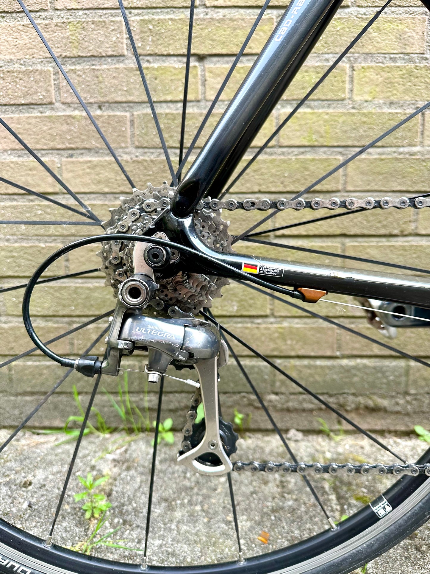 Red Bull (Rose) Carbon Pro 56cm Ultegra 10s
