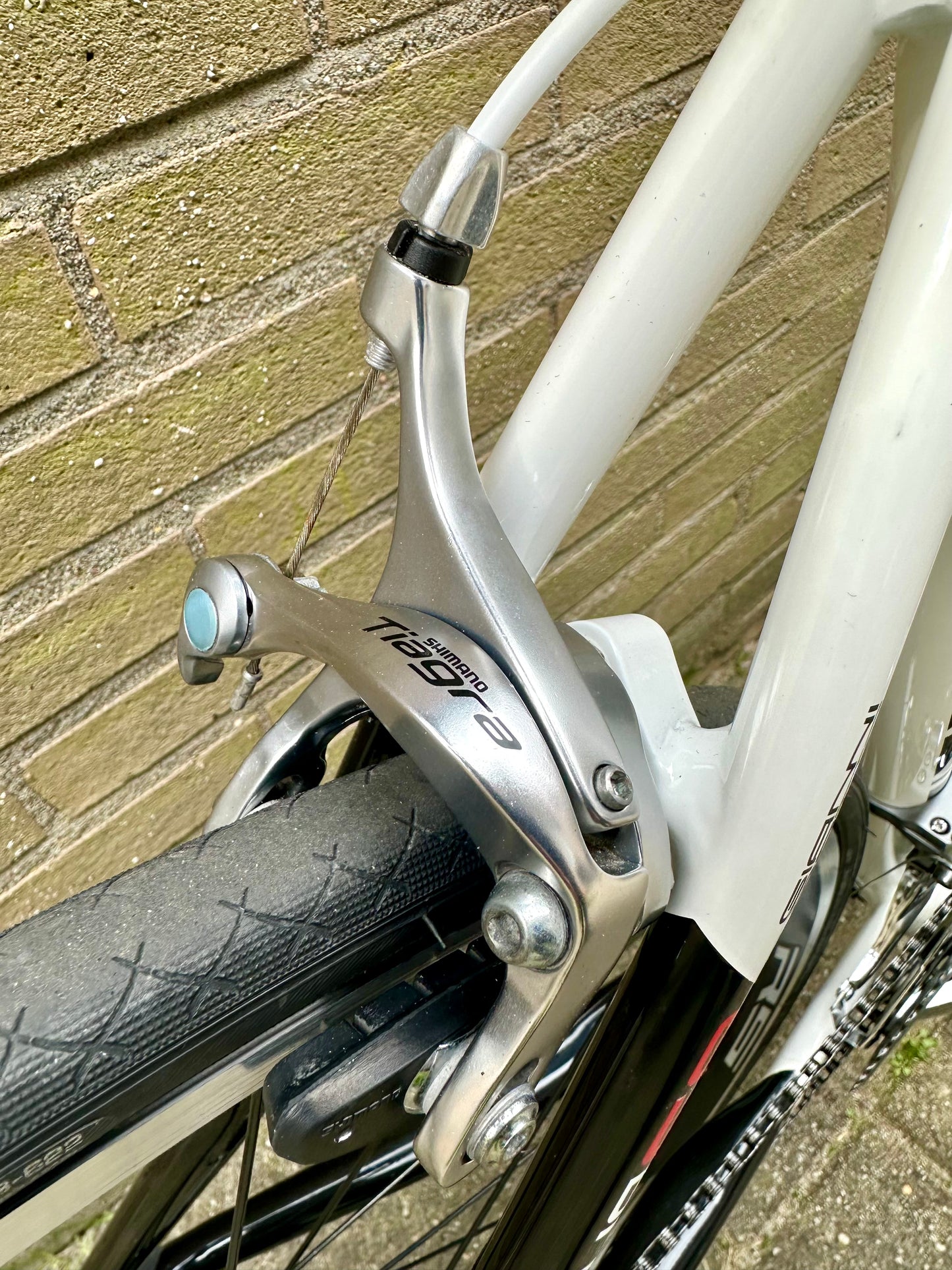Giani Motta 56cm