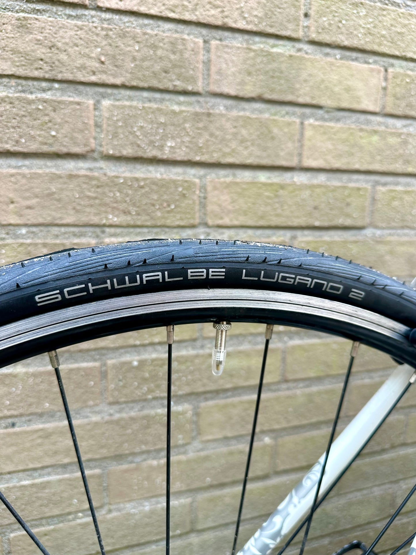 Bulls Ancura 50cm Shimano Tiagra 8s