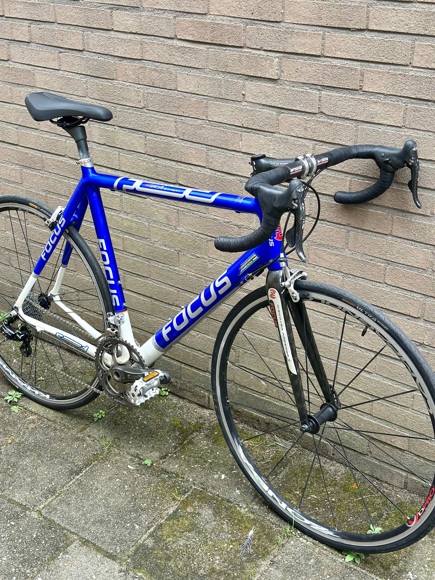 Focus Izalco Expert 58cm Campagnolo Chorus
