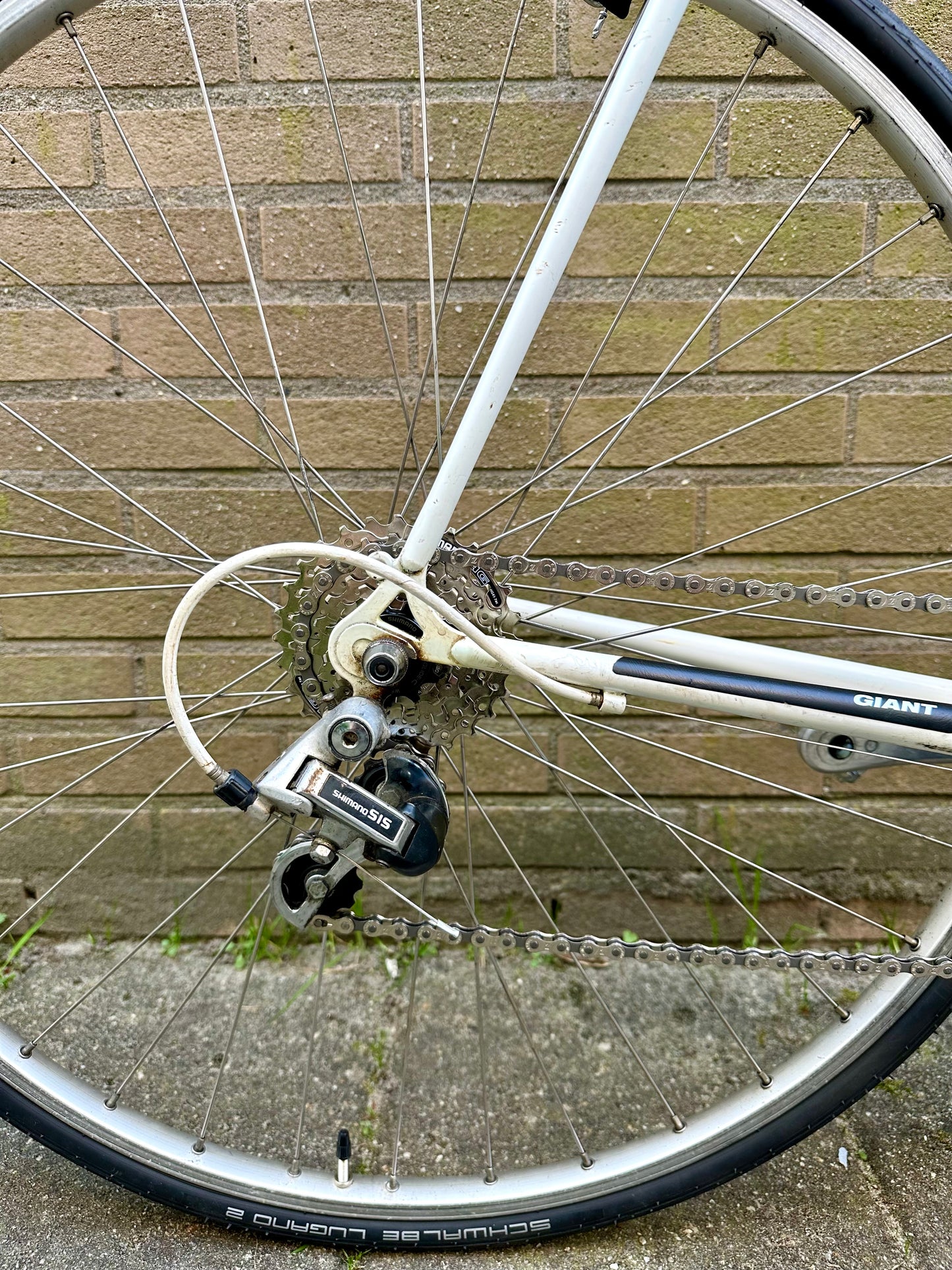 Giant Speeder 63cm
