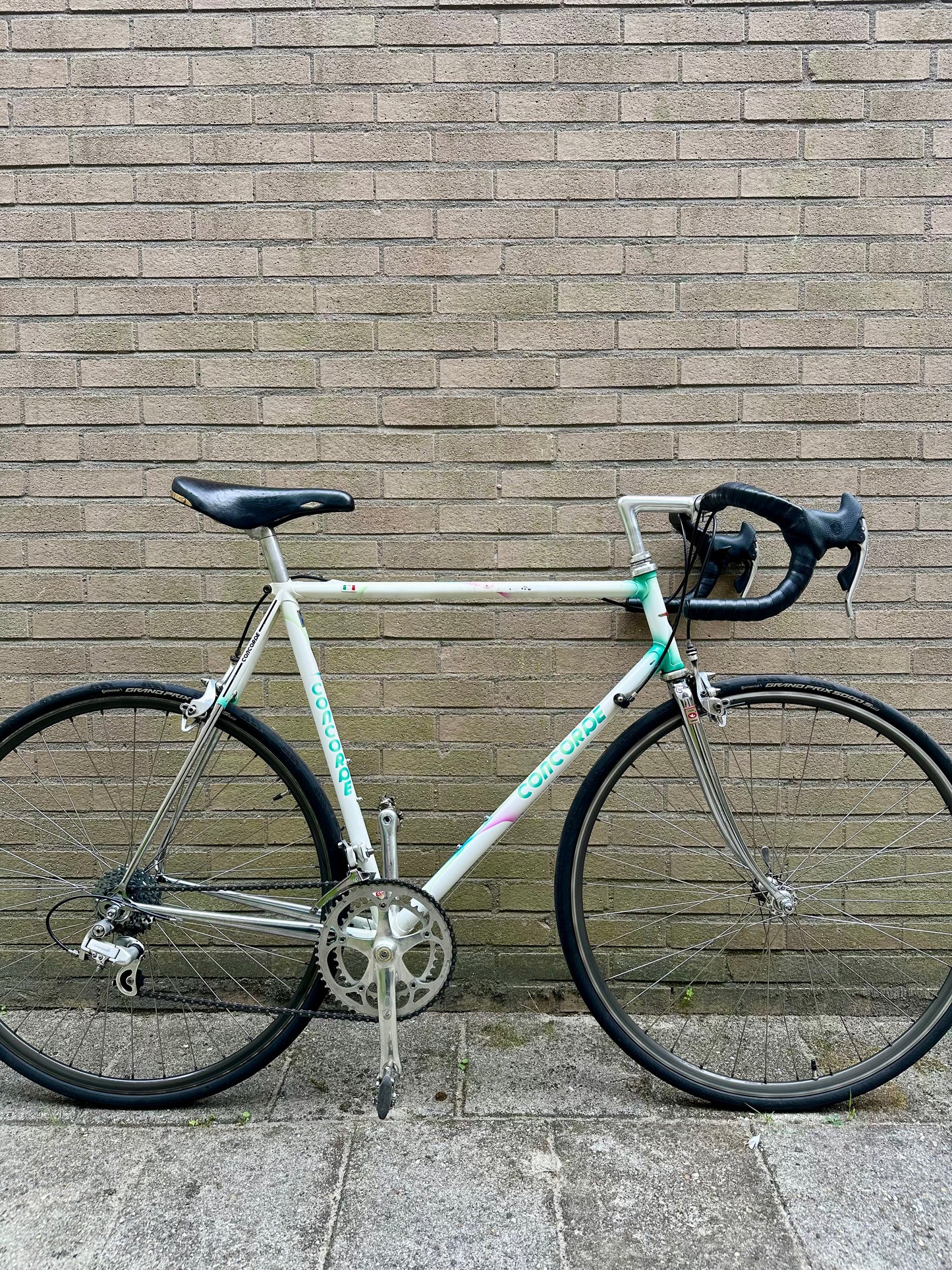 Concorde Columbus Thron 59cm