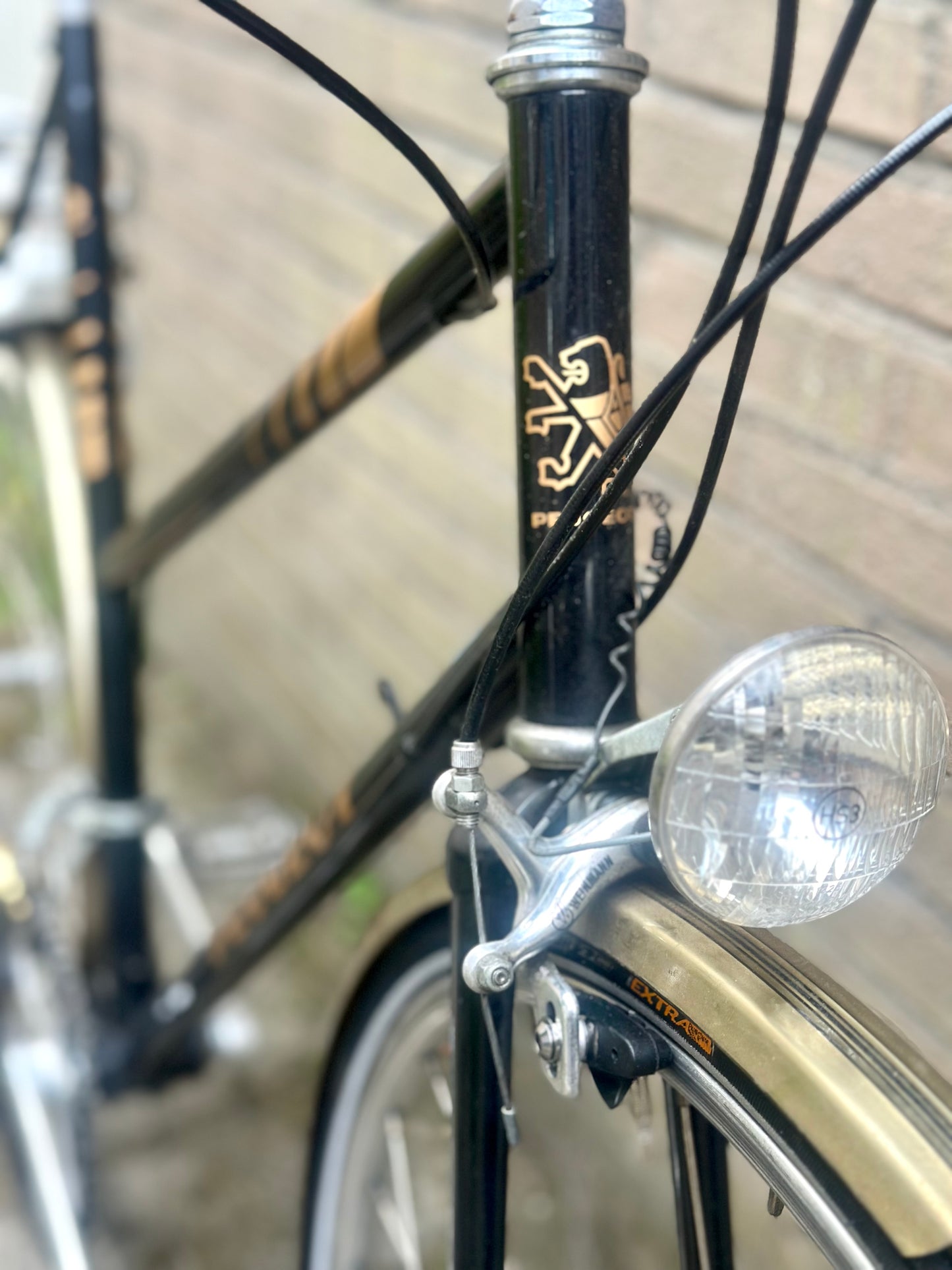 Peugeout Champagne Mixte 56cm