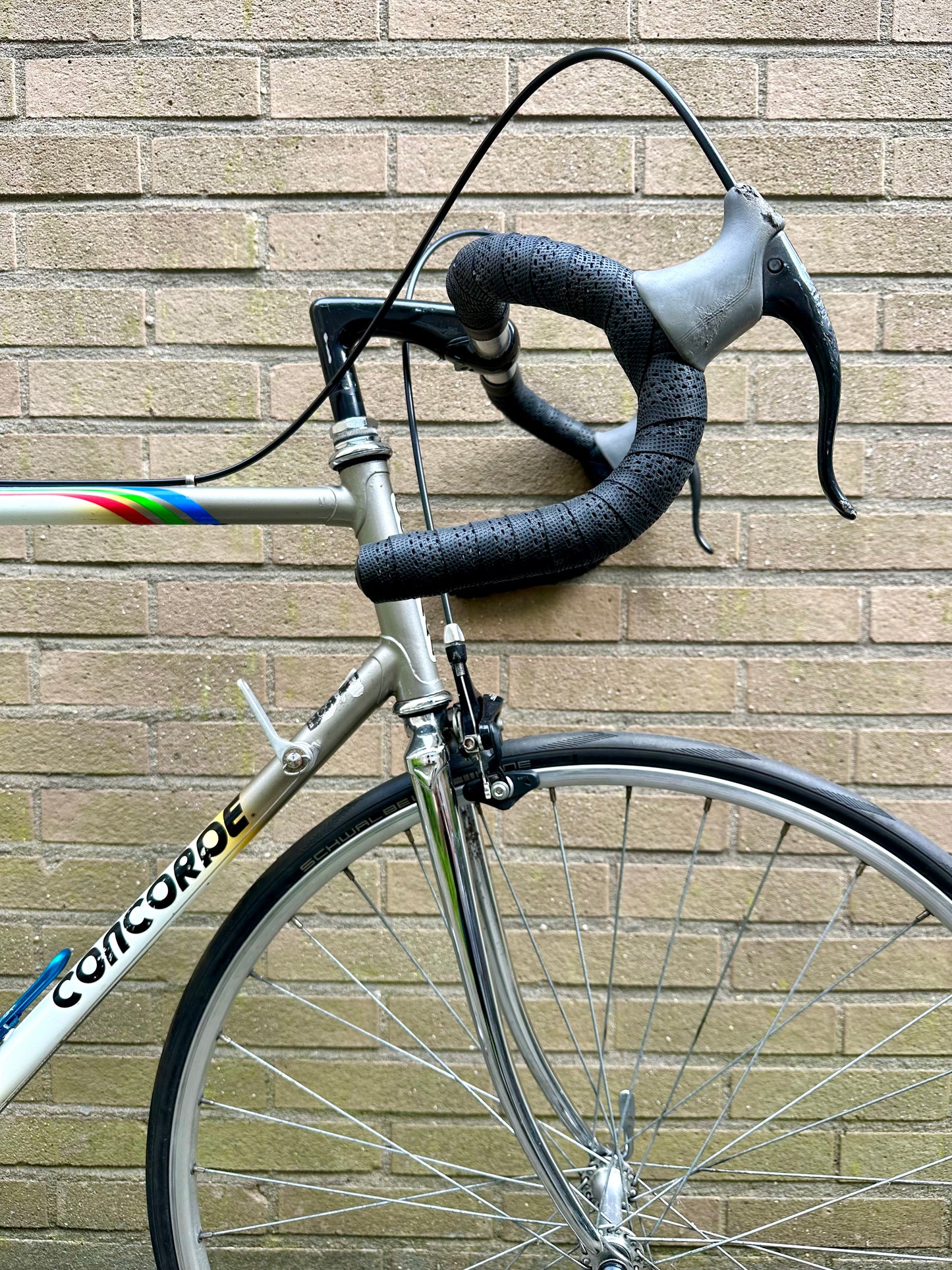 Concorde 60cm